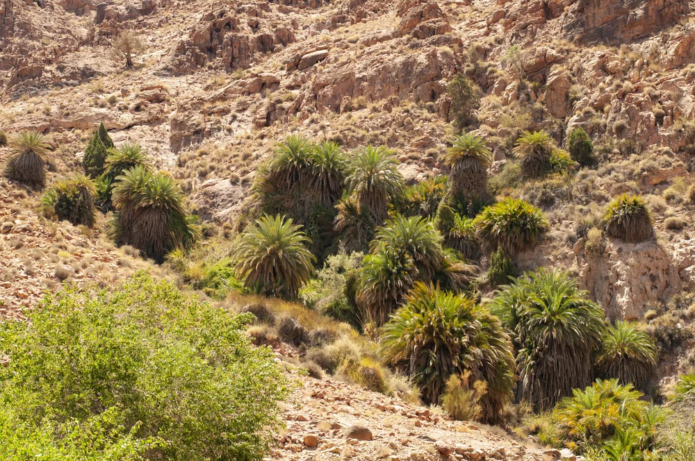 20180718396 copy.JPG