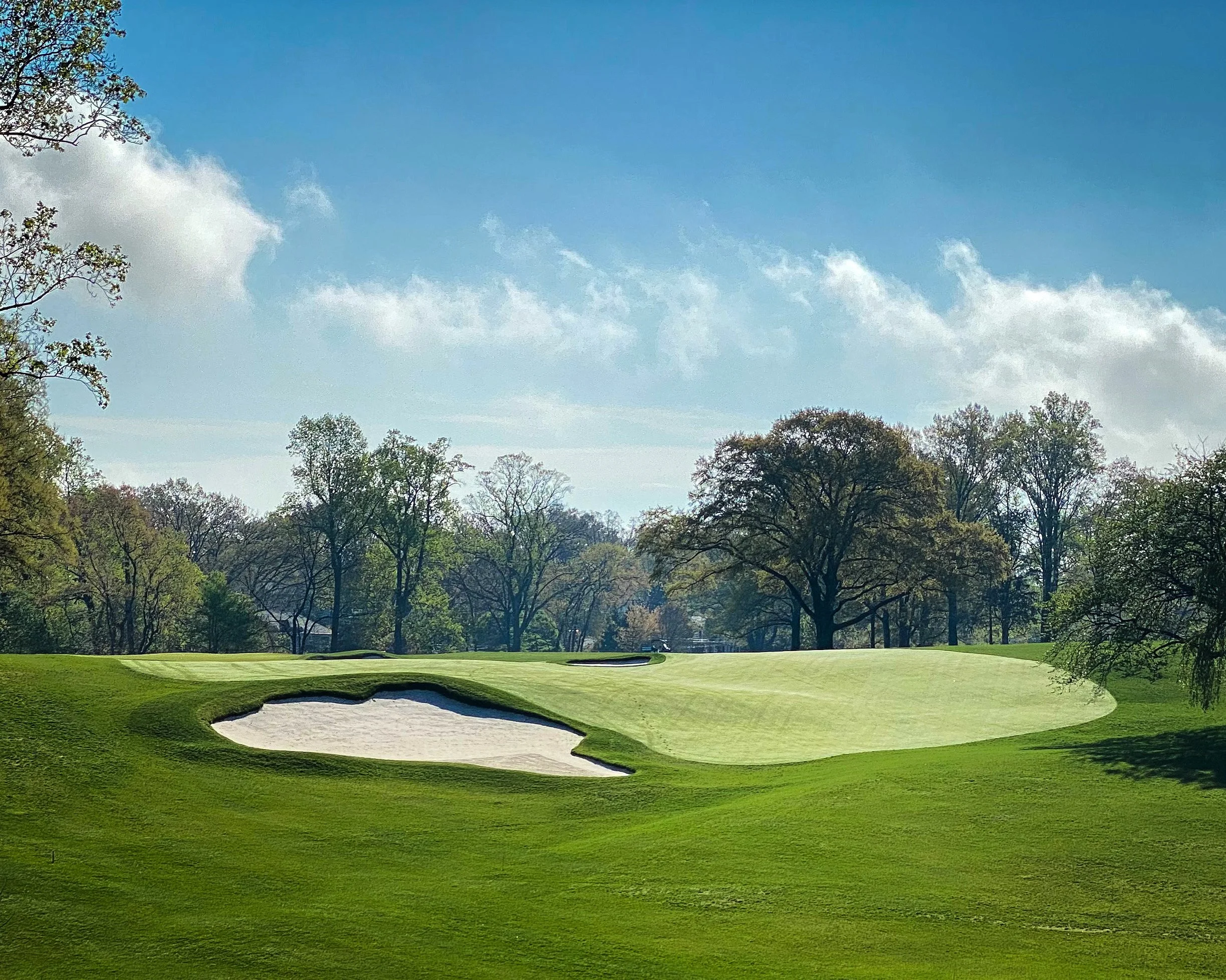 08876E4C-5D88-4A00-A0E8-4D6D3EC09511 2.JPG