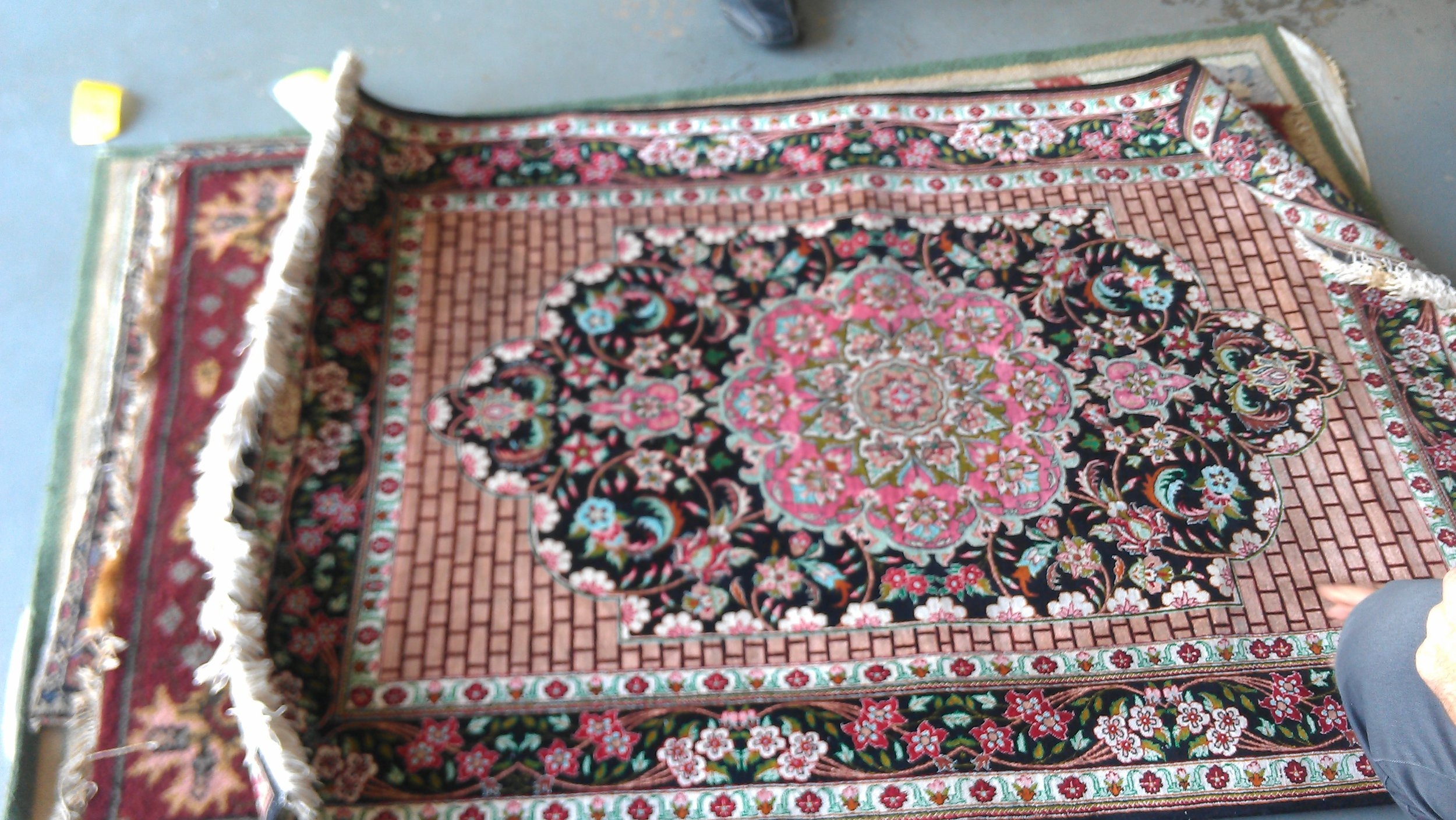 IMAG0980.jpg