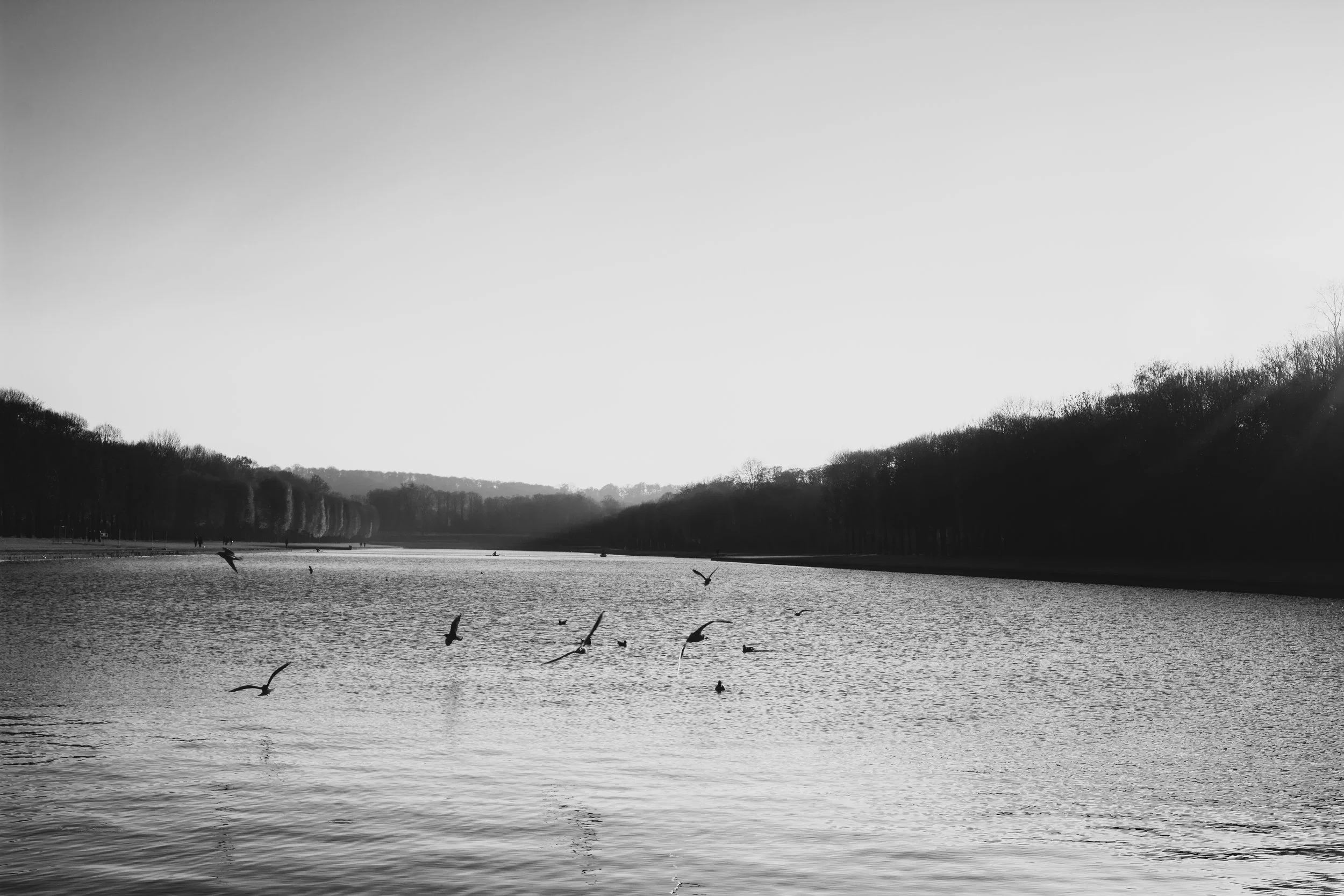 _DSC0421.jpg