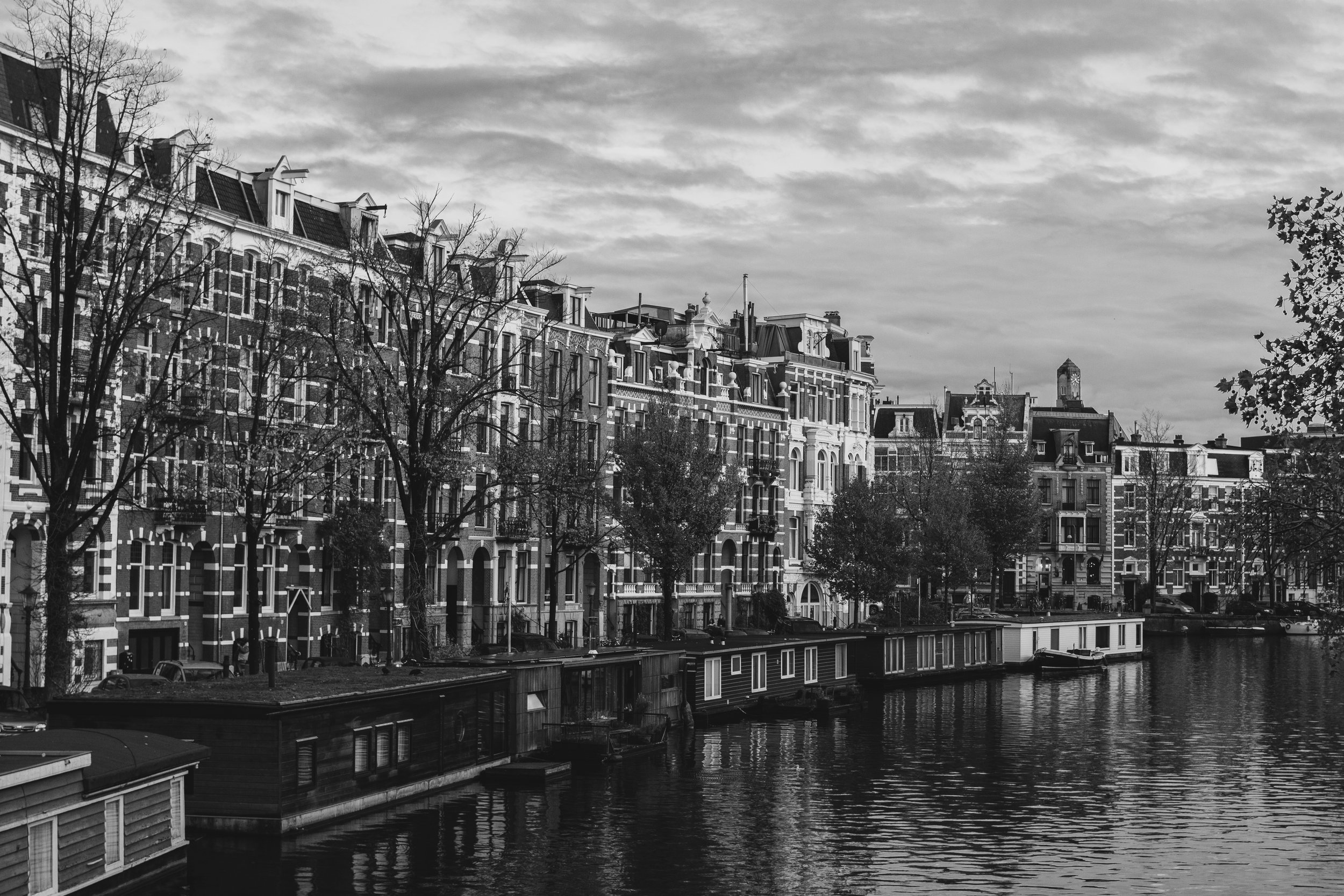 _DSC0651.jpg