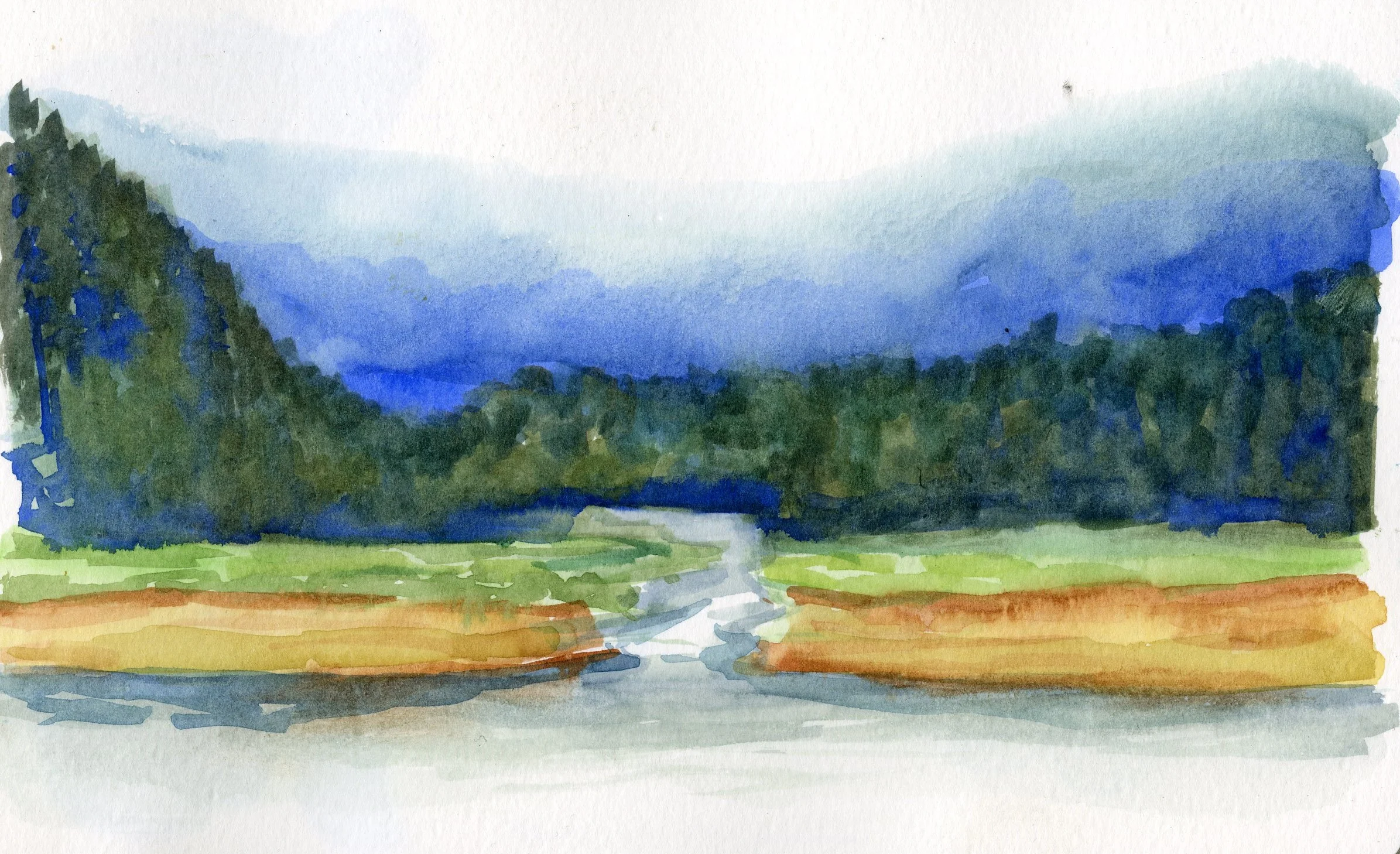 Aiken Cove, a quiet pool of wildness in Moira Sound, cedar trees kiss the water, cranes croak on the beach, all threatened by potential land giveaway.