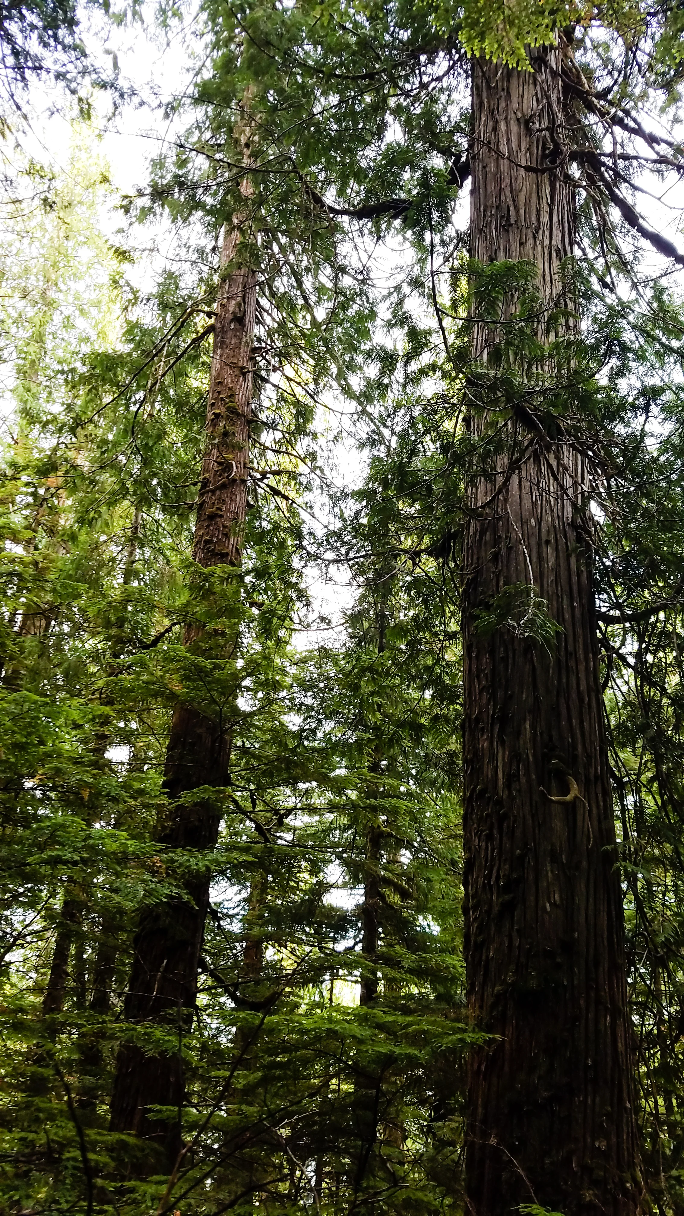 20170810_163812-2.jpg