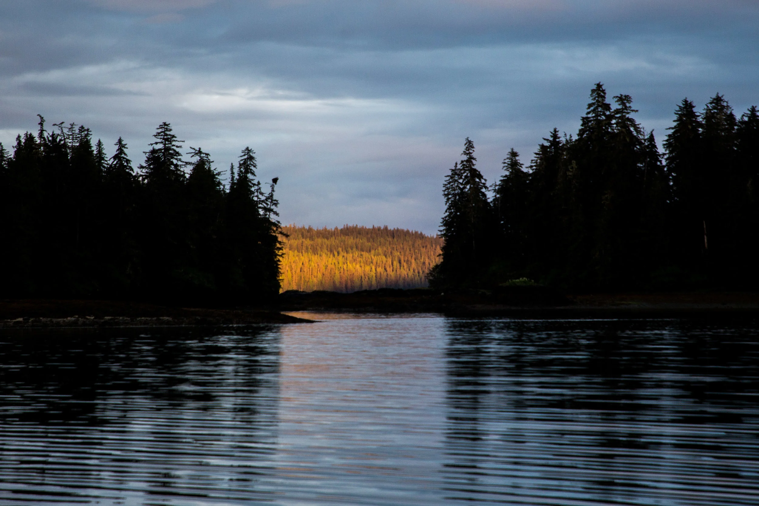 Senator Murkowski: The Roadless Rule is Working for Southeast Alaska