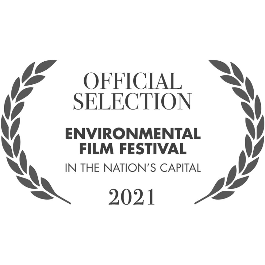 DCEFF.png
