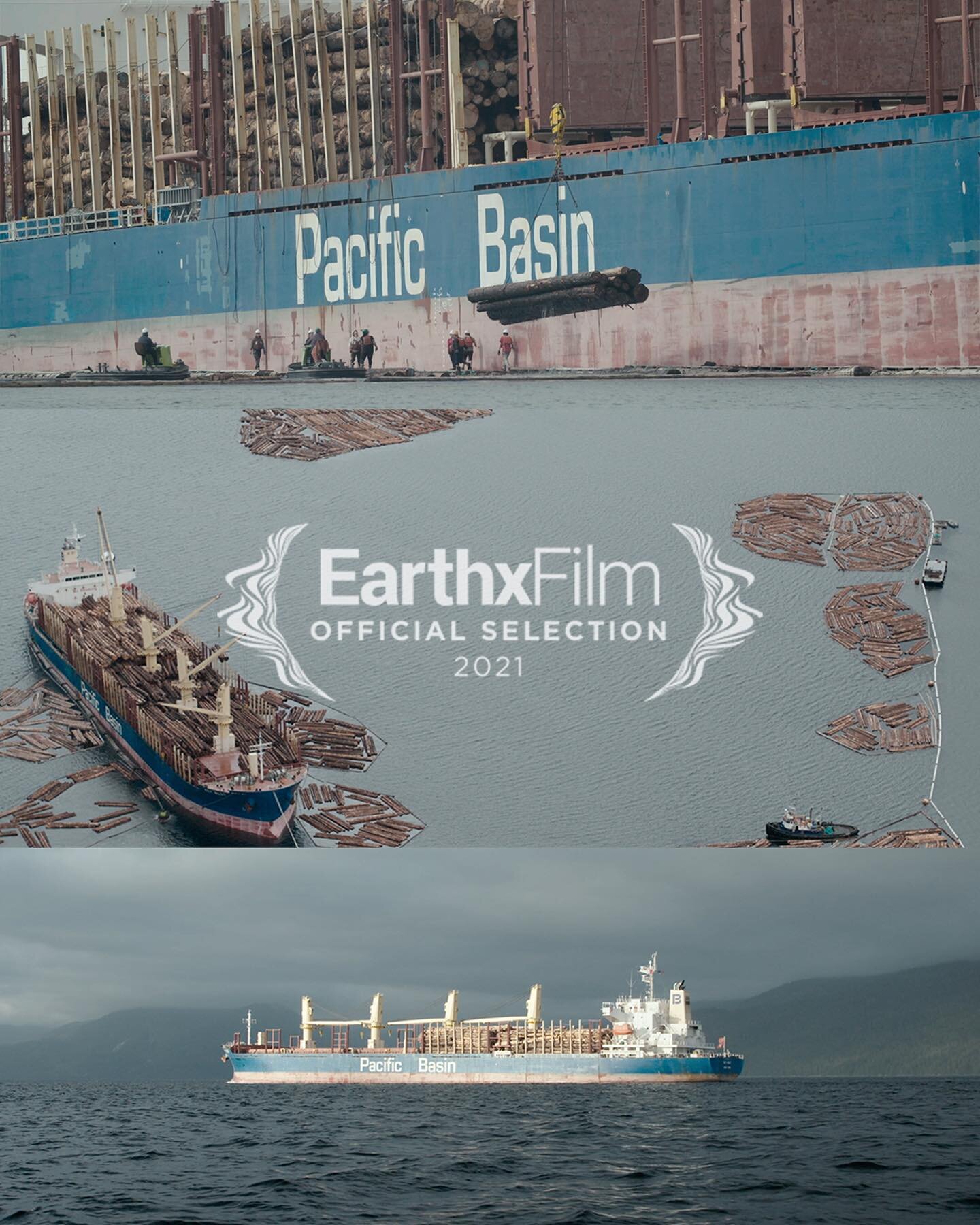 Sunday Tongass fact: 85% of old-growth timber in Alaska is exported directly overseas to be processed, meaning that few jobs or economic benefits result from the timber economy in Alaska. In the film, we share a look at old-growth timber being loaded