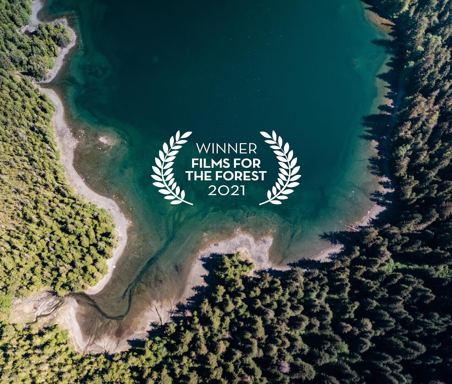 Very excited to announce our first festival win for &ldquo;Understory&rdquo; at @filmsfortheforest. Also, please take a moment to let @joebiden and @kamalaharris know that the Tongass is worth protecting via the @wildernesssociety at the link in our 