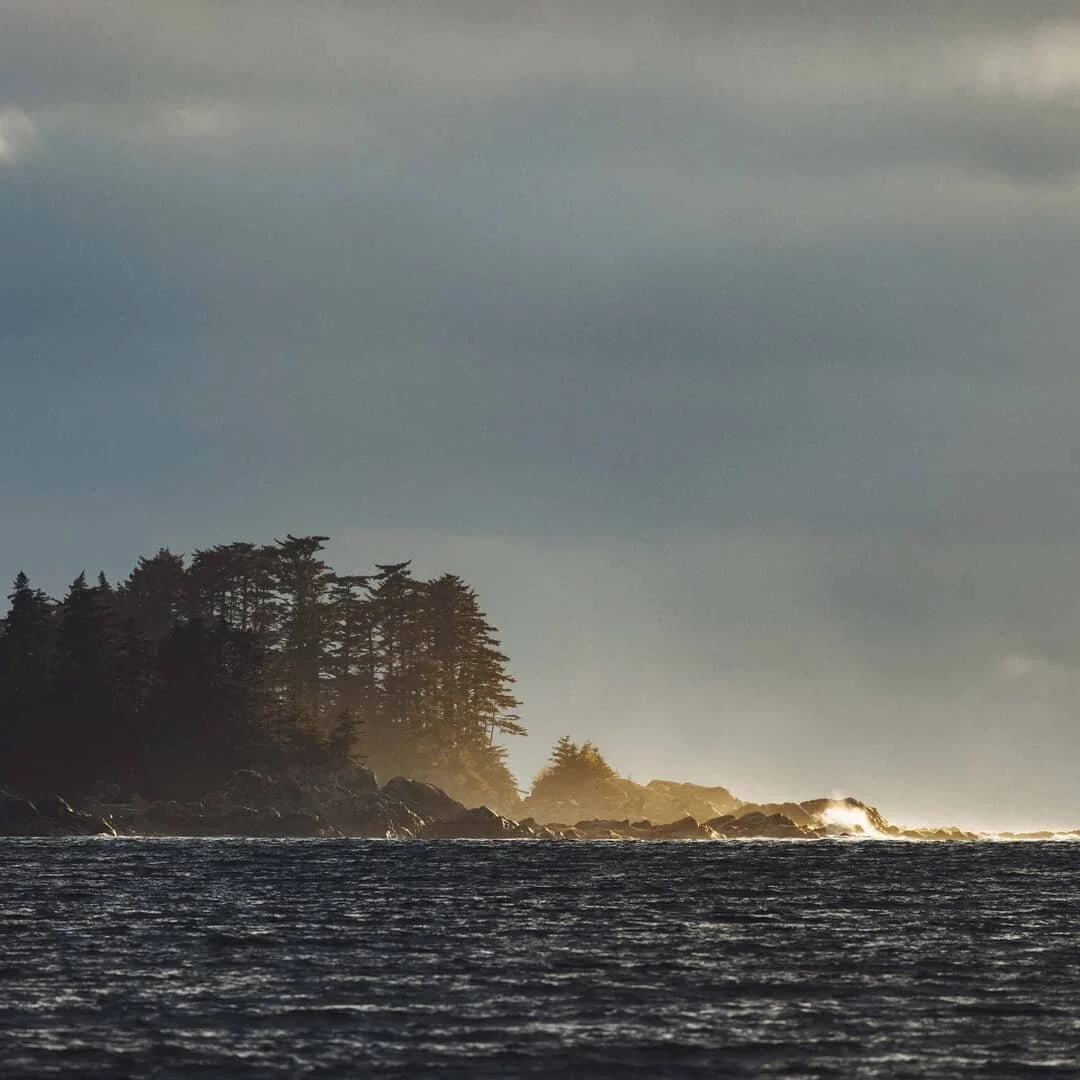 The days are long in the Tongass this time of year, and the golden hour is slow and lovely. Tonight it feels like a sigh of relief. The news out of Washington DC today is the Biden Administration will restore the Roadless Rule protections that Trump 