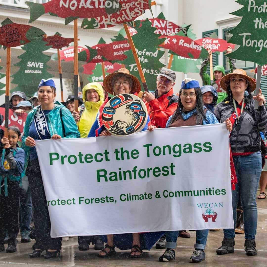 Where have these years of fighting for the Roadless Rule gotten us? The cynical take is: right back to where we started from. 

The reality is, we have built incredible strength. 

In these last few years, Southeast Alaskans have overwhelmed US Fores