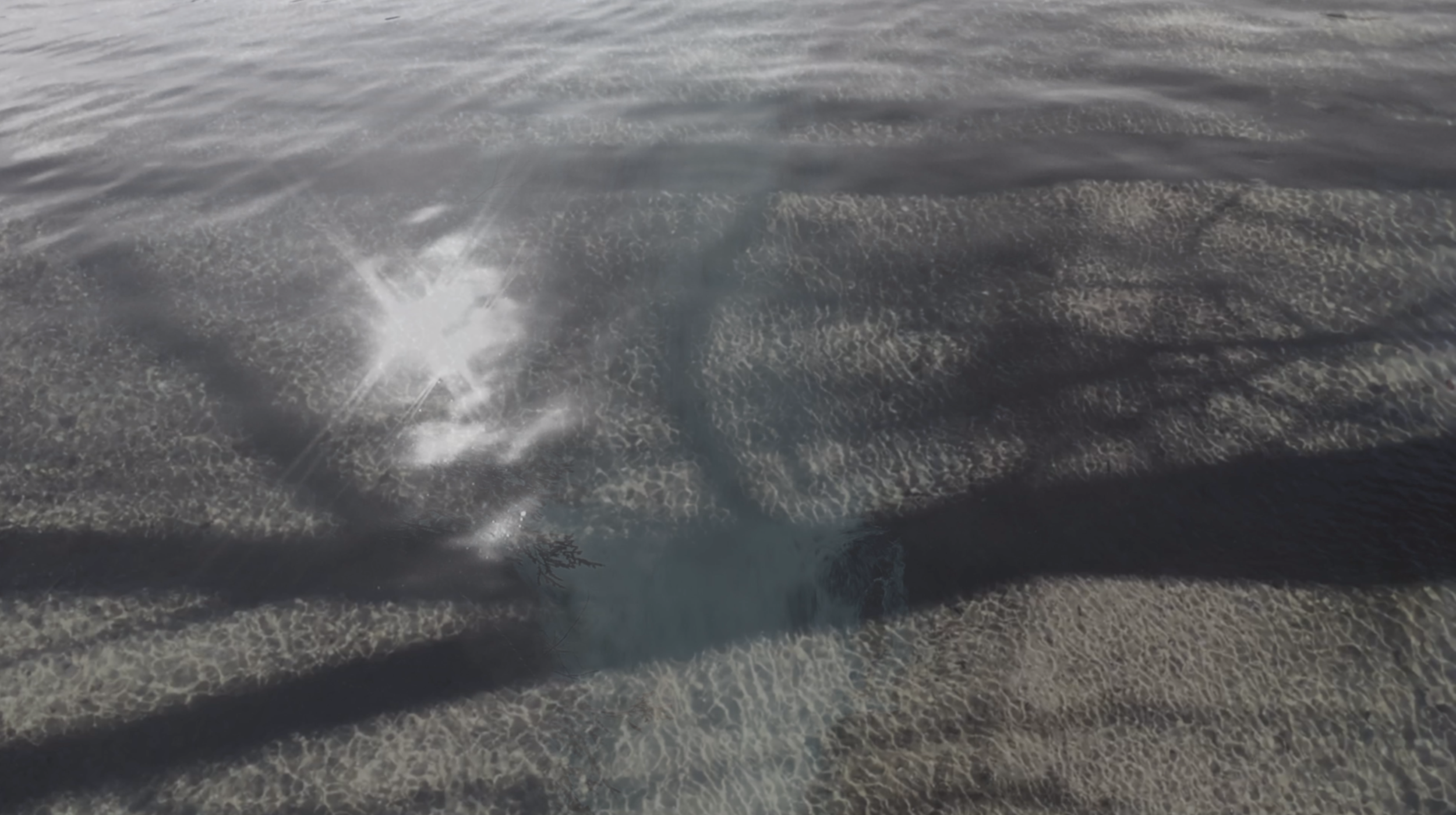 Screen Shot 2019-08-12 at 6.00.52 AM.png