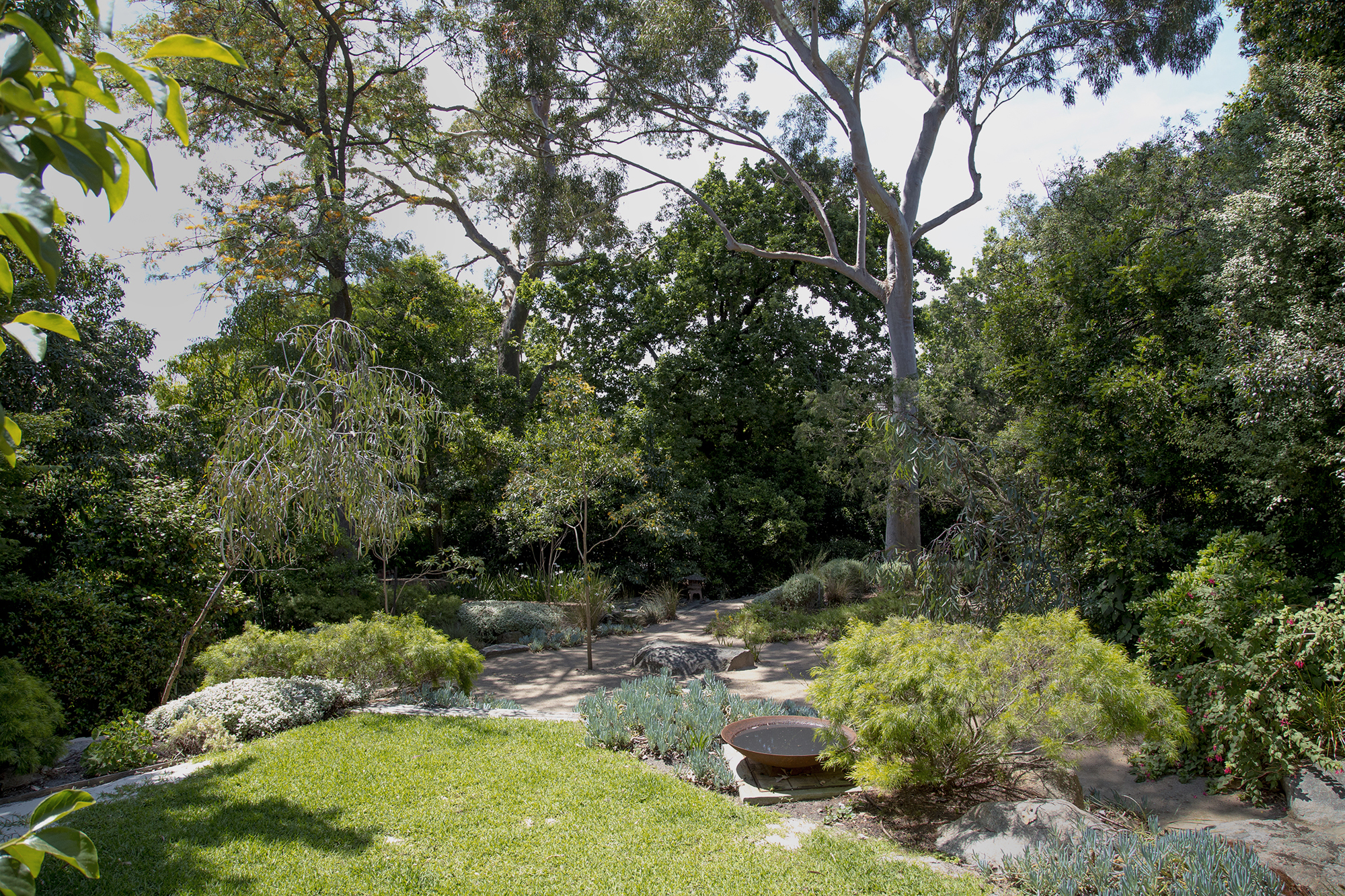 Toorak Ave Toorak (15).jpg