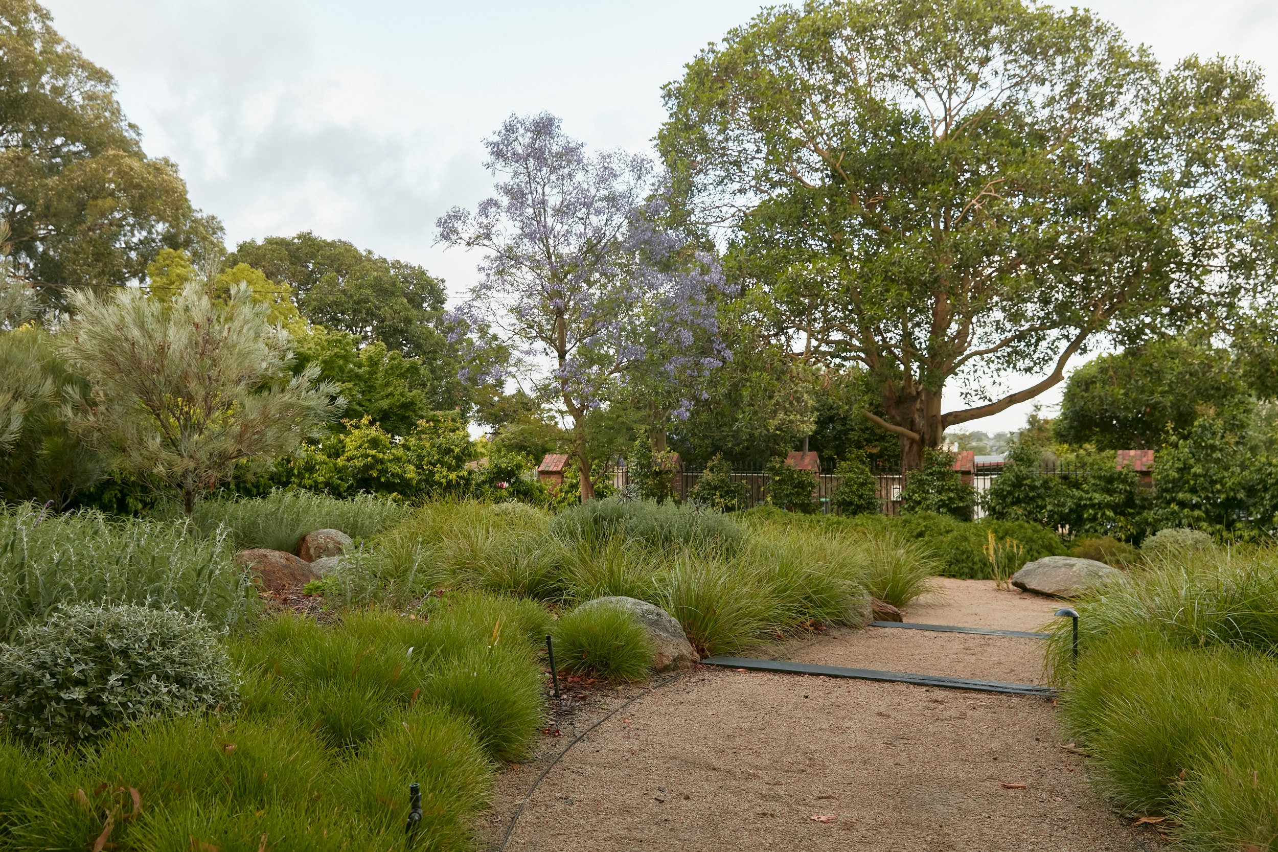 Projects — Sam Egan Gardens