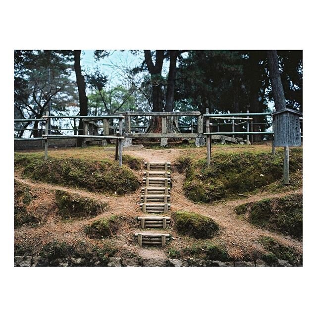 The Nara photos continue
-
-
-
-
-
-
#120film #filmphotography #filmlife #analog #shootfilmunder1000 #shootfilmmag #shootfilm #theanalogclub #filmisnotdead #filmphotography #filmwave #analogphotography #negativefb #onfilm #filmisalive #mamiya645 #ekt