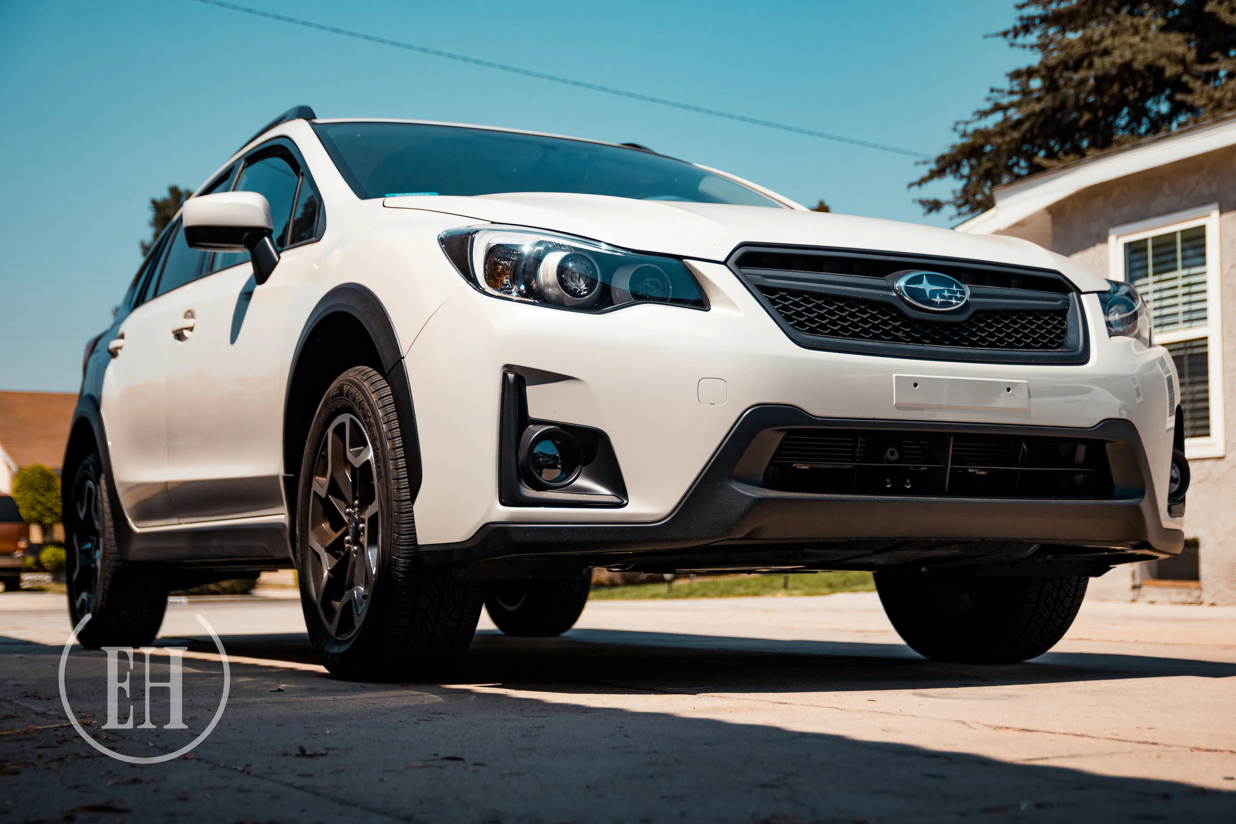 IMG_9876.jpg