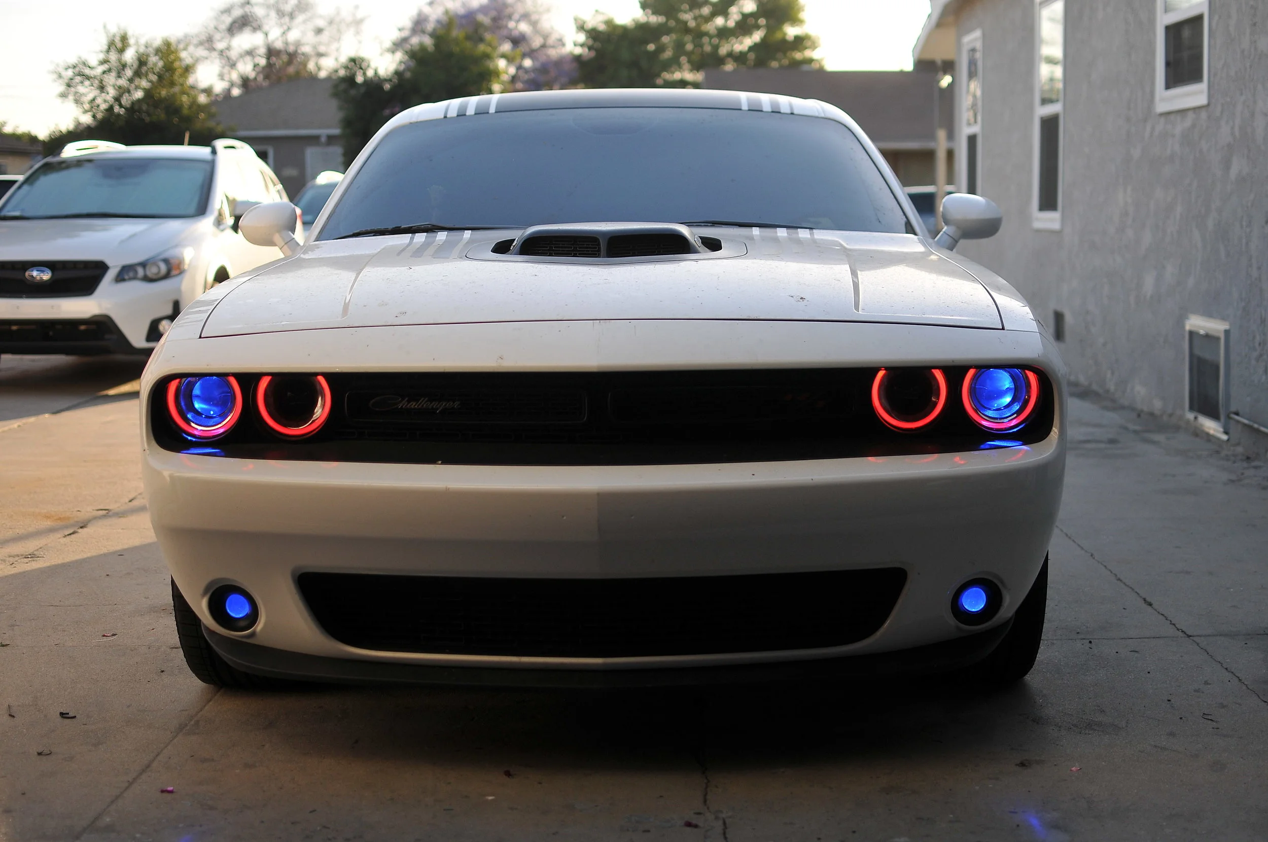 DSC_5866.jpg