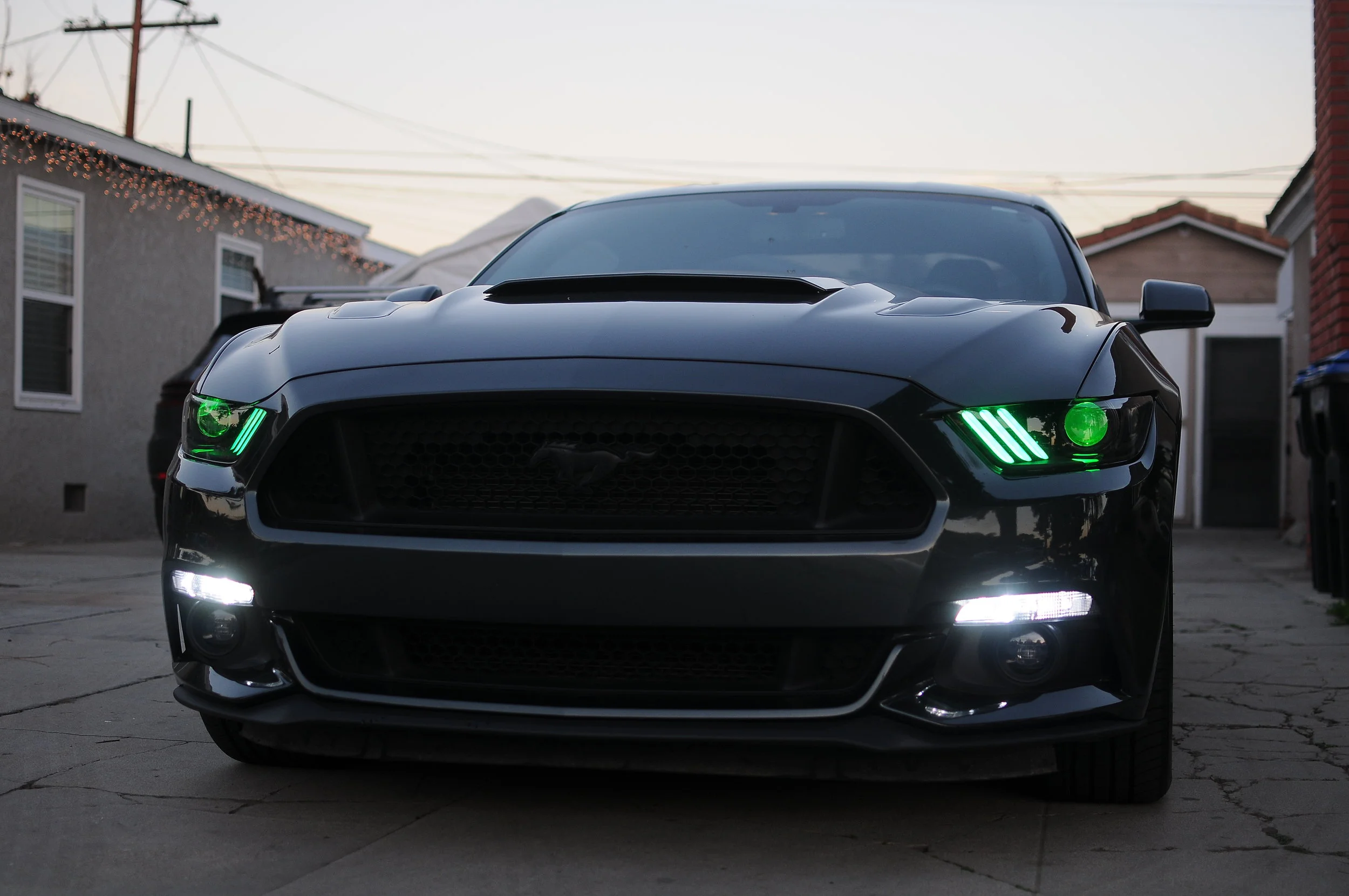 DSC_6314.JPG