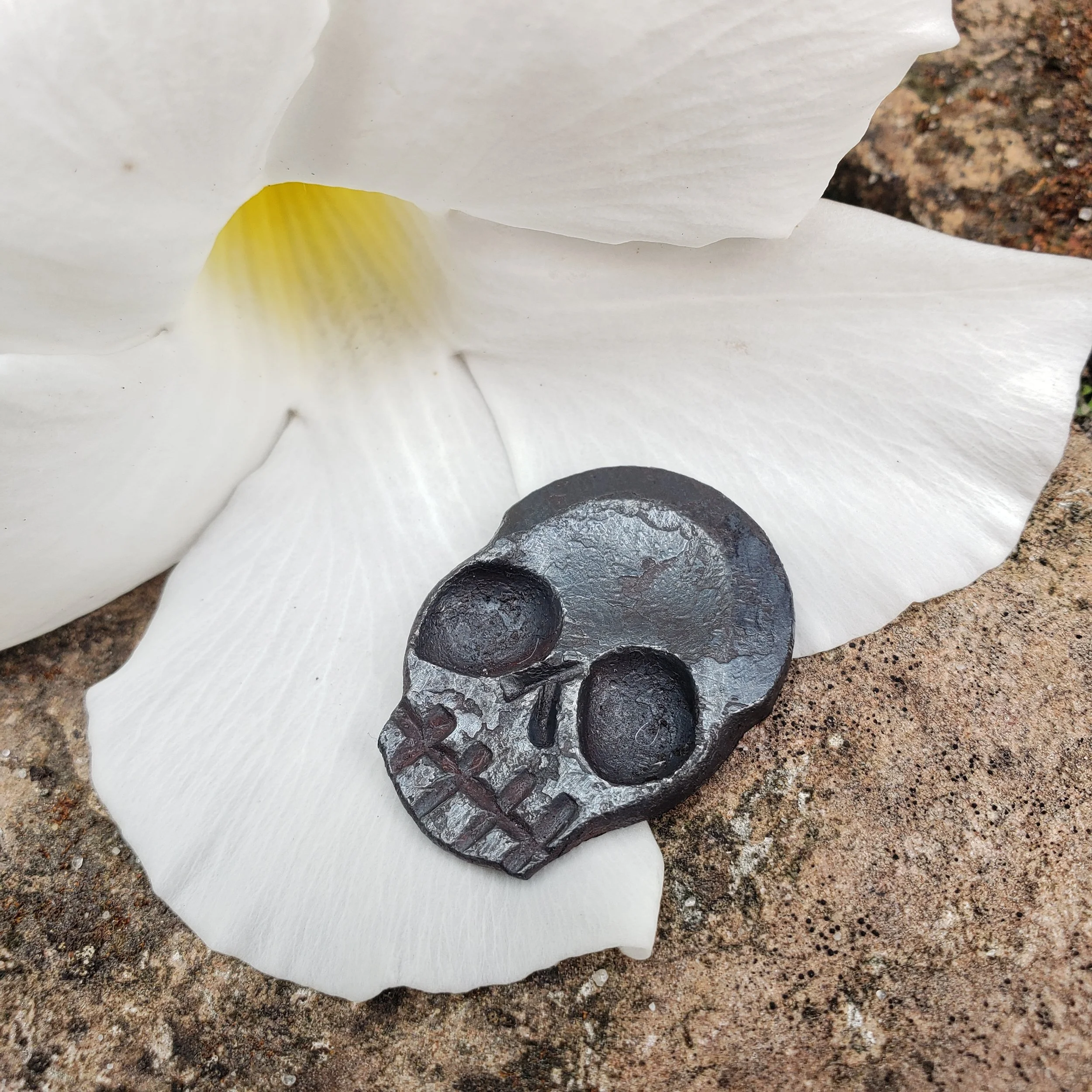 A "Memento Mori" worry coin, hand forged from 3/4" round stock steel and shaped in the form of a skull. Shown here resting gently against a flower.