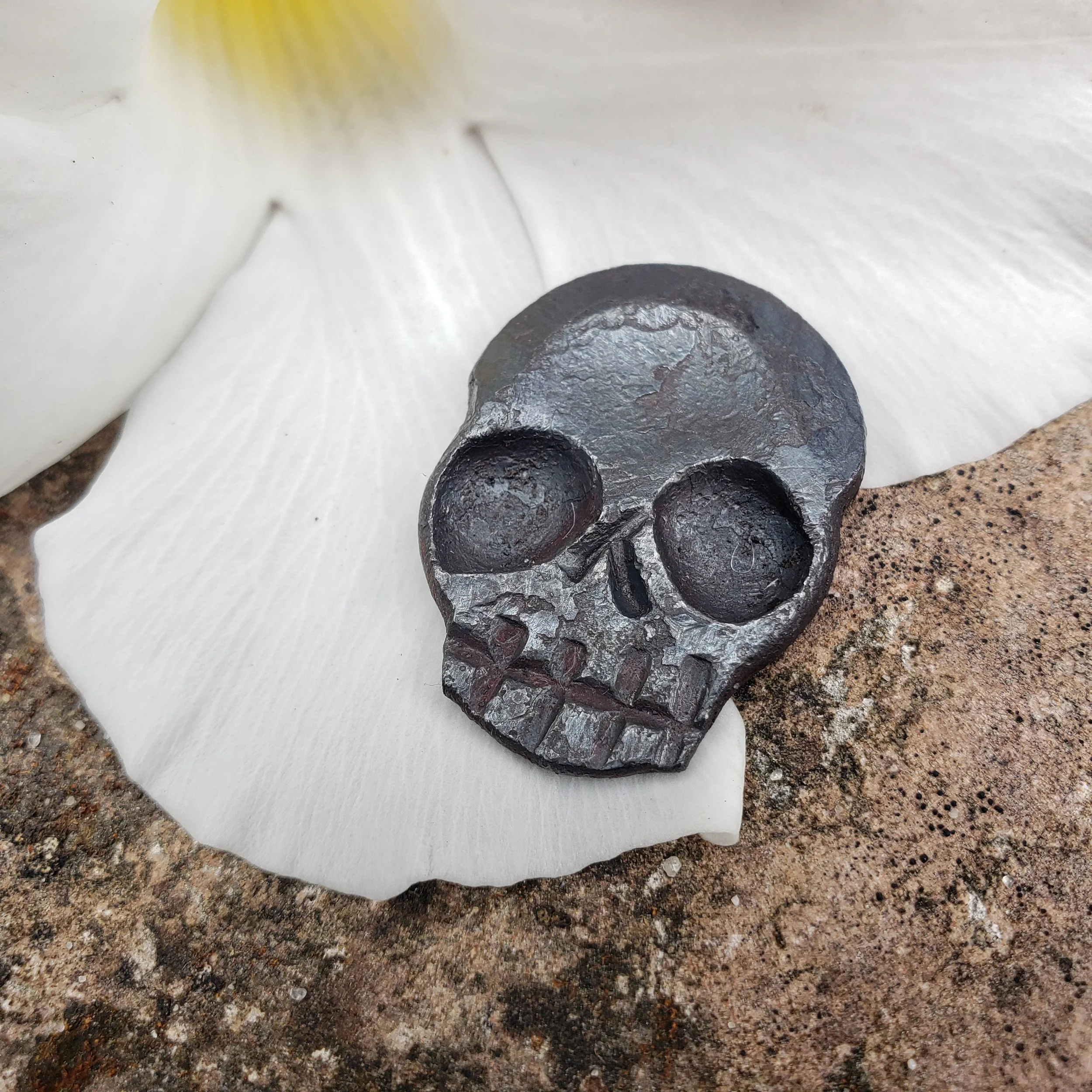A "Memento Mori" worry coin, hand forged from 3/4" round stock steel and shaped in the form of a skull. Shown here resting gently against a flower.