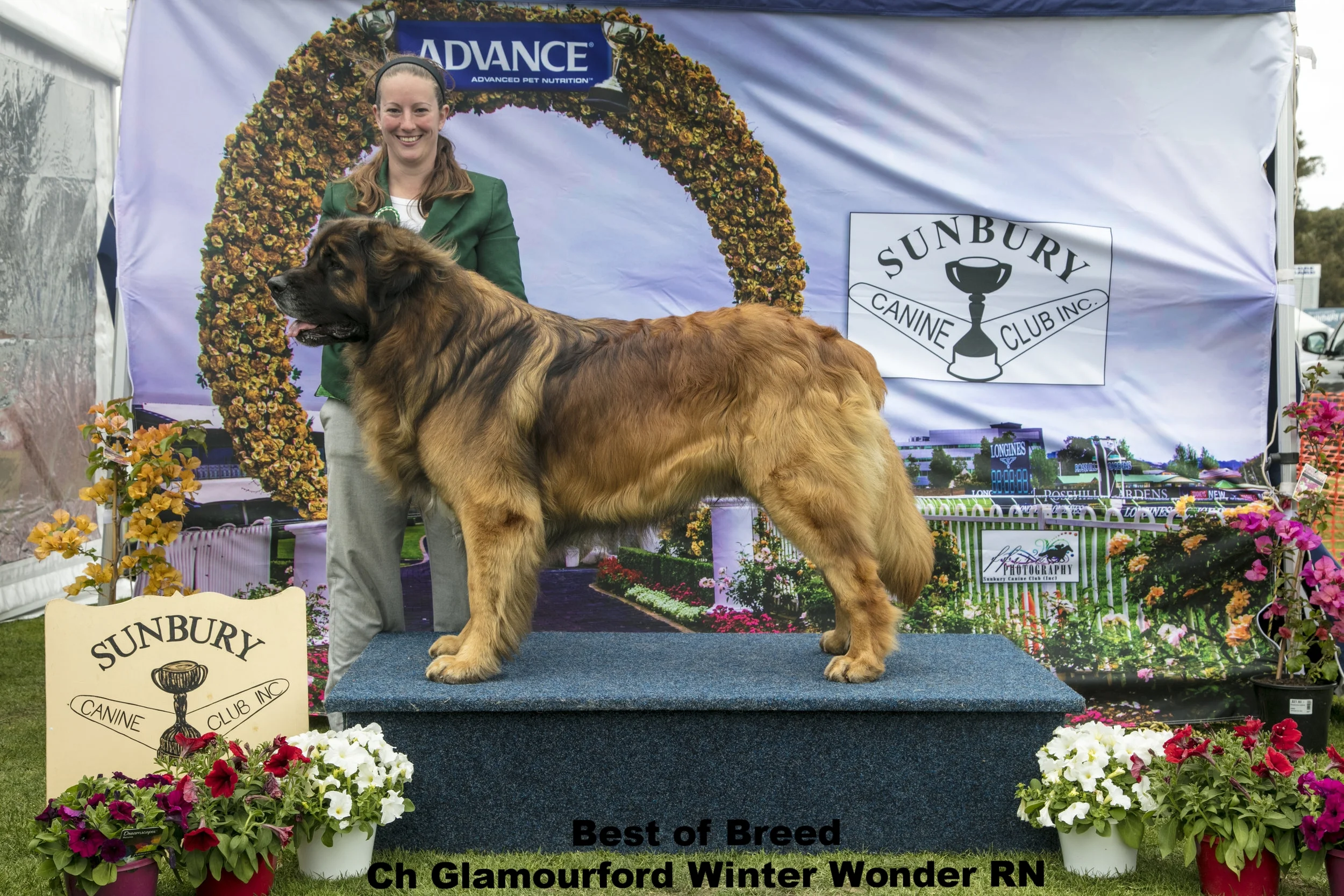 Sunbury Show 2017.jpg