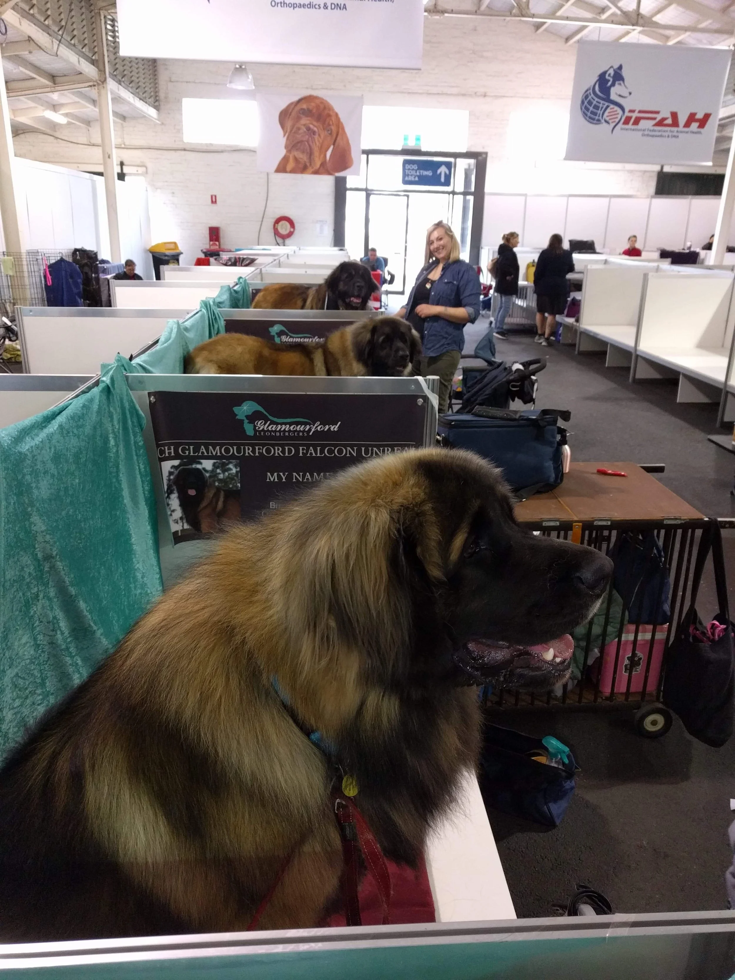 Dog Show (Meet ALL Team Glamourford)