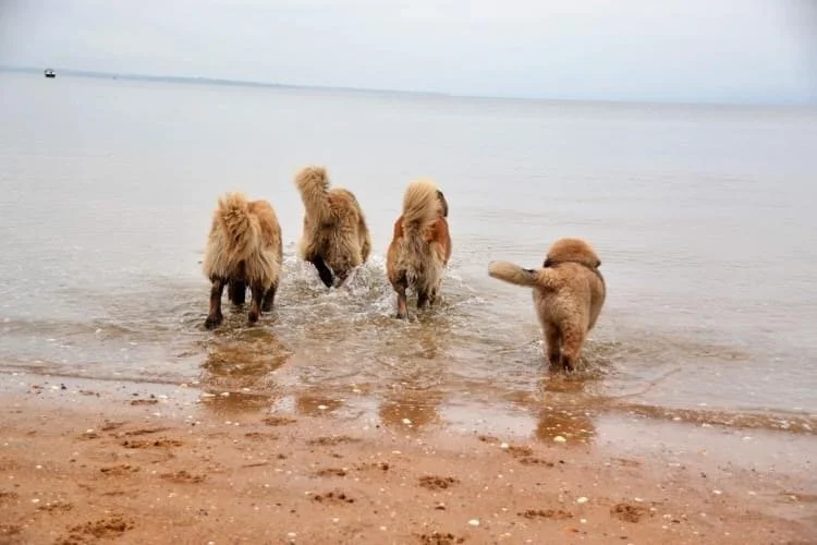Beach bums
