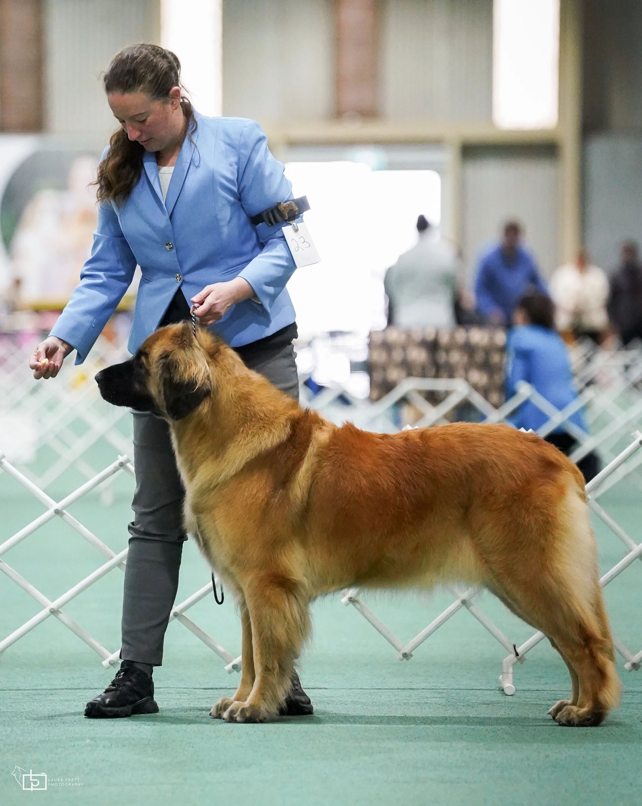 Greta (Photo Credits: Laura Pratt)
