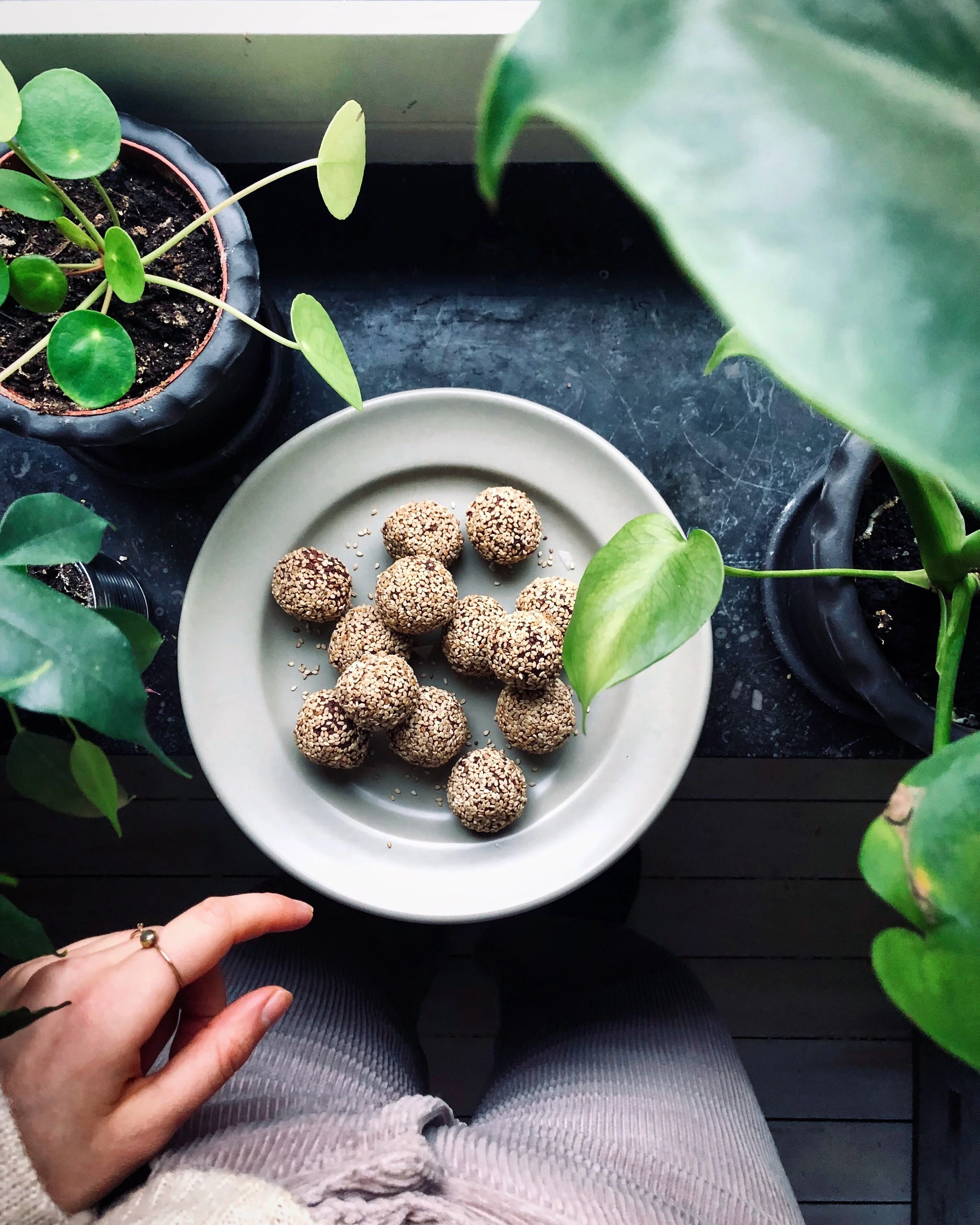 Chocolate cranberry bliss balls with toasted sesame