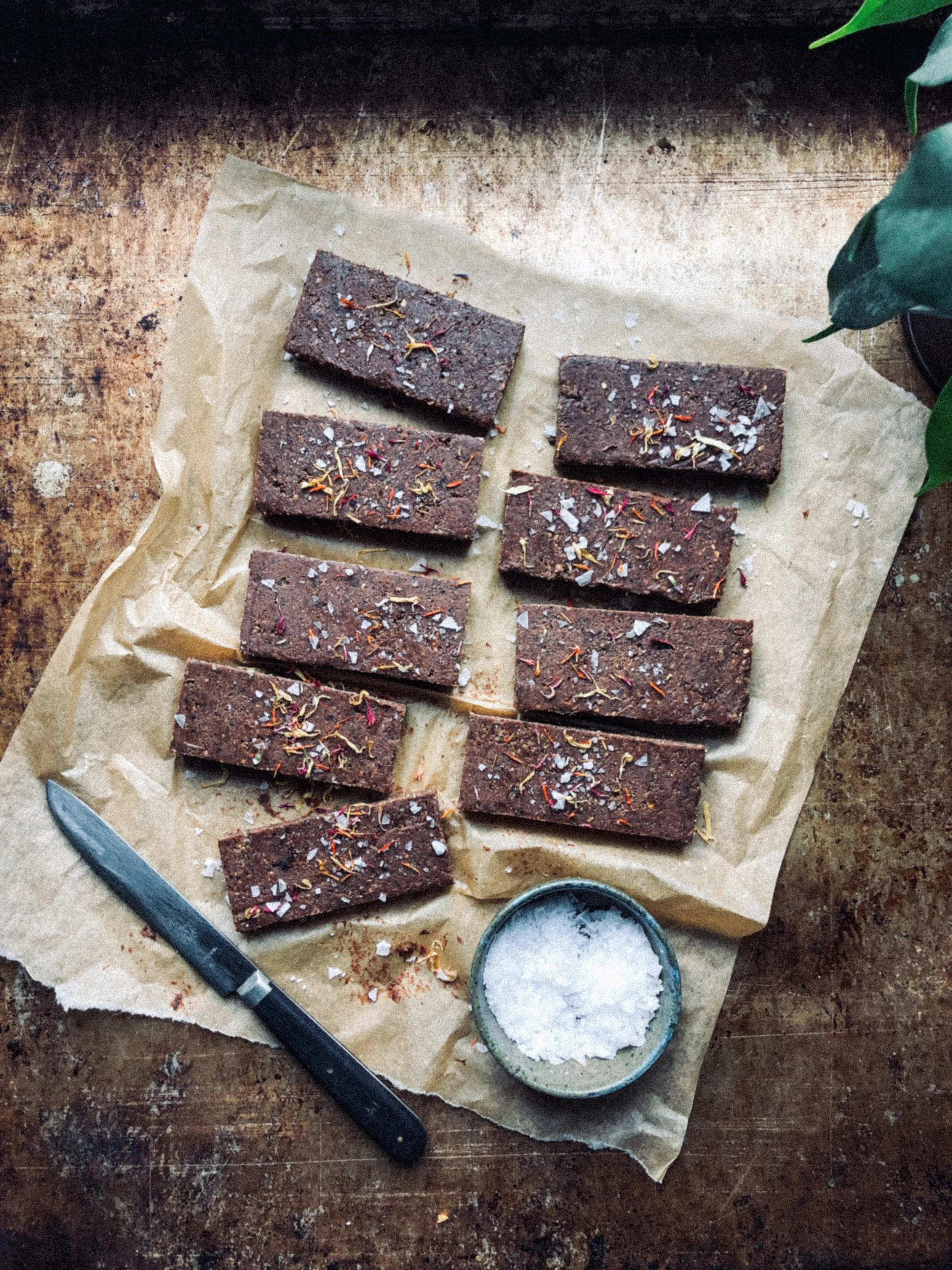 Plant-based by Thess Chocolate Mountain bars