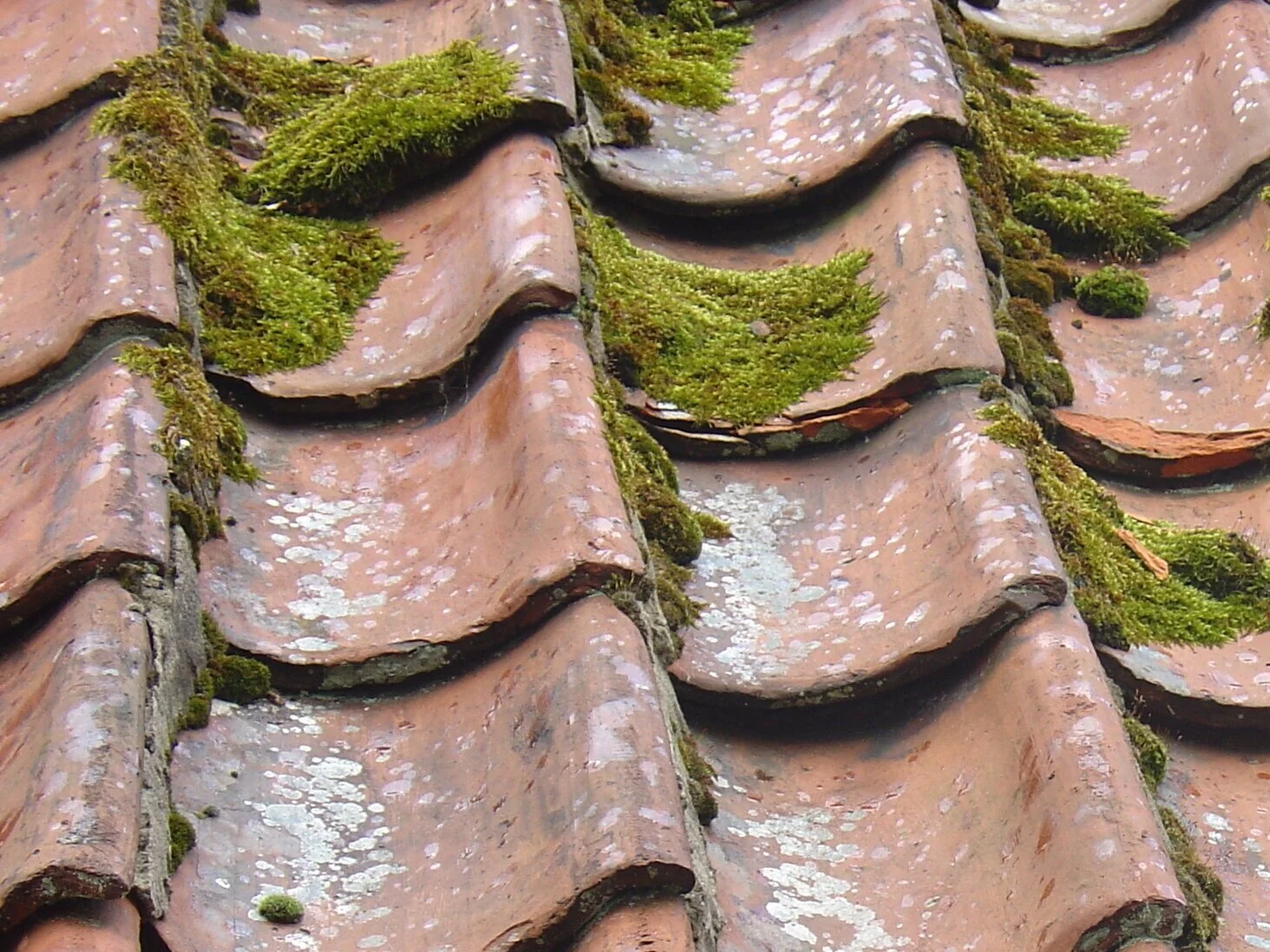 Bekymrer du deg for taket ditt? 