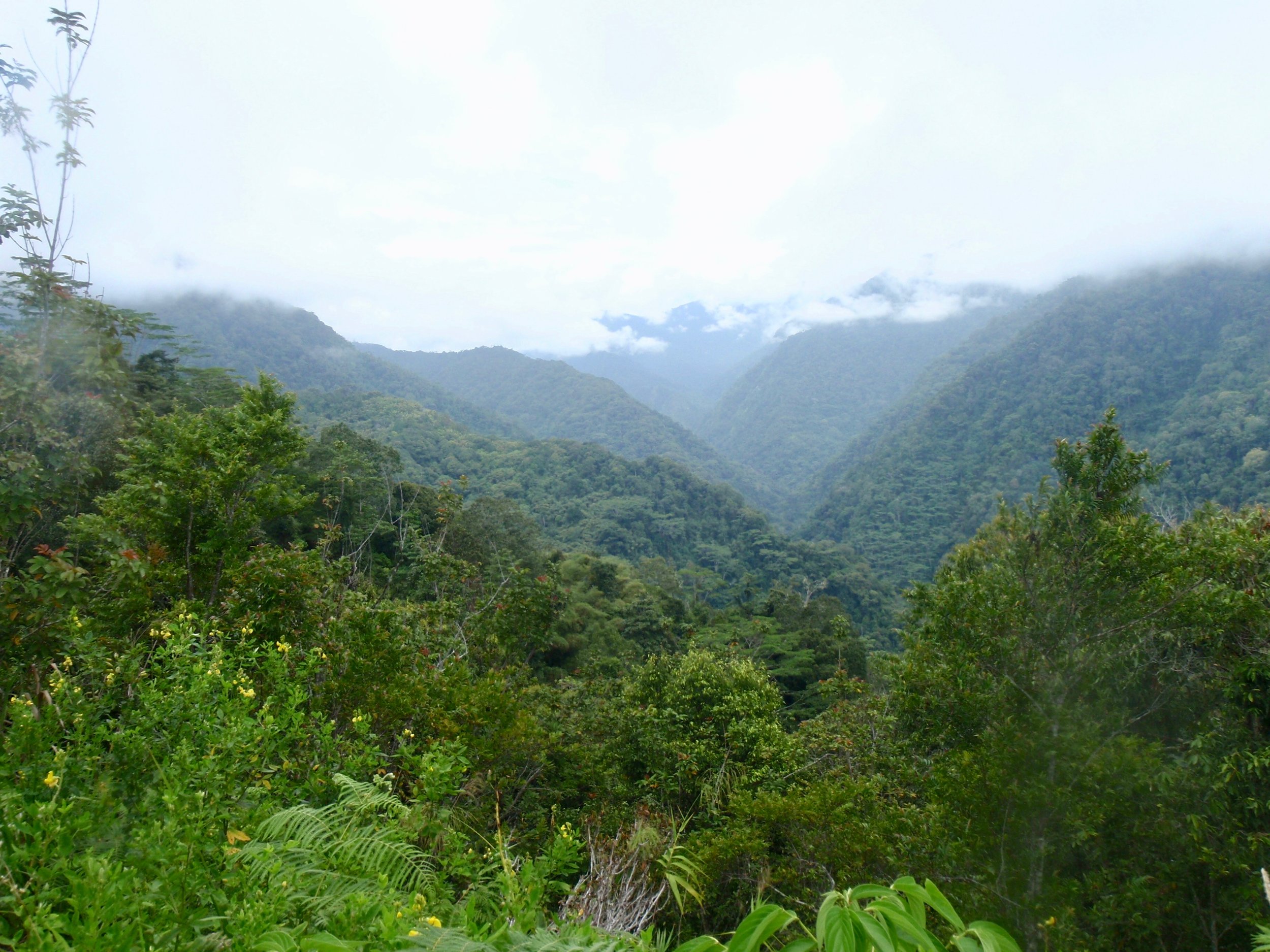 The Bitoi River valley.