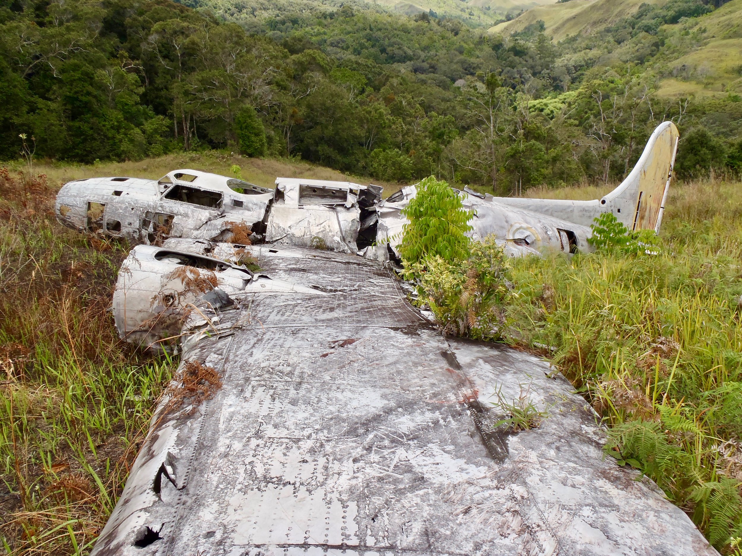 A B-17 Flying Fortress shot down over Lae.