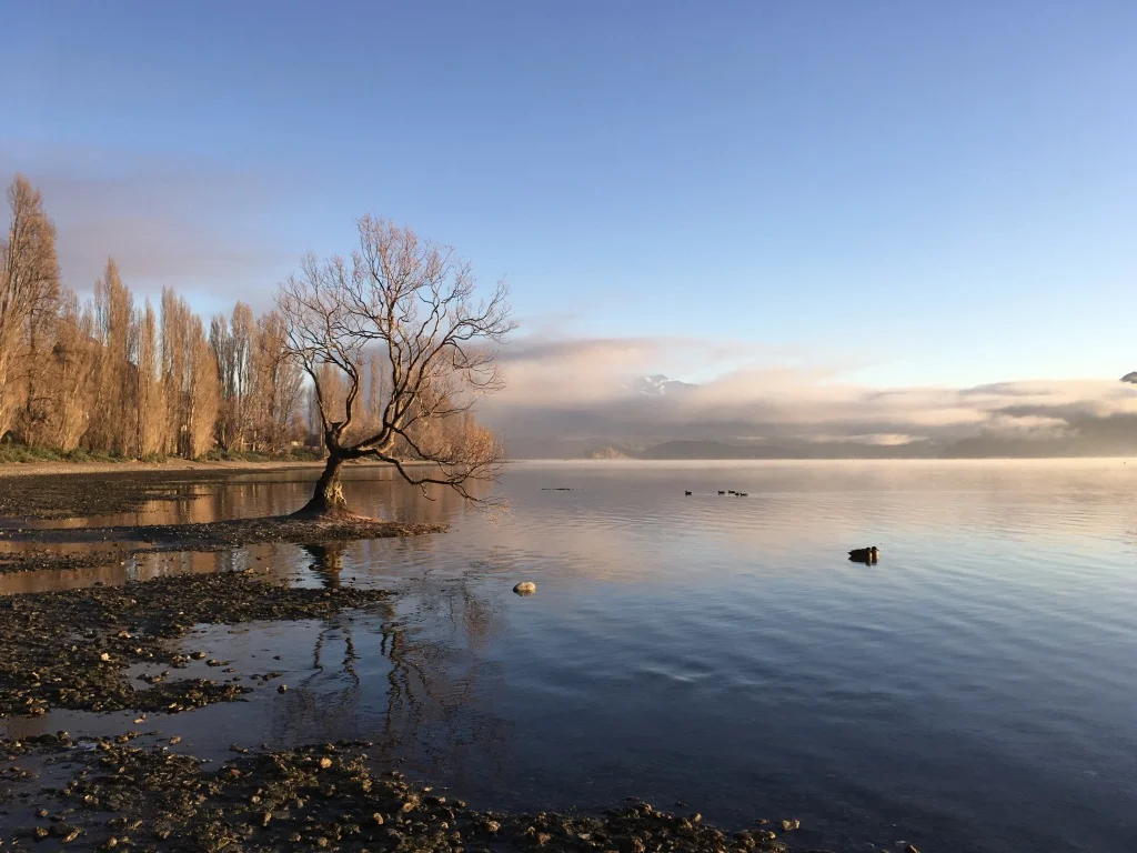 at dawn