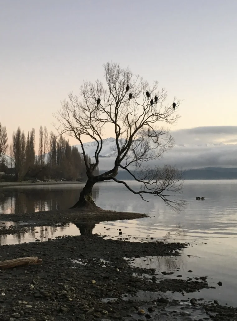while the cormorants sleep (my favourite picture)