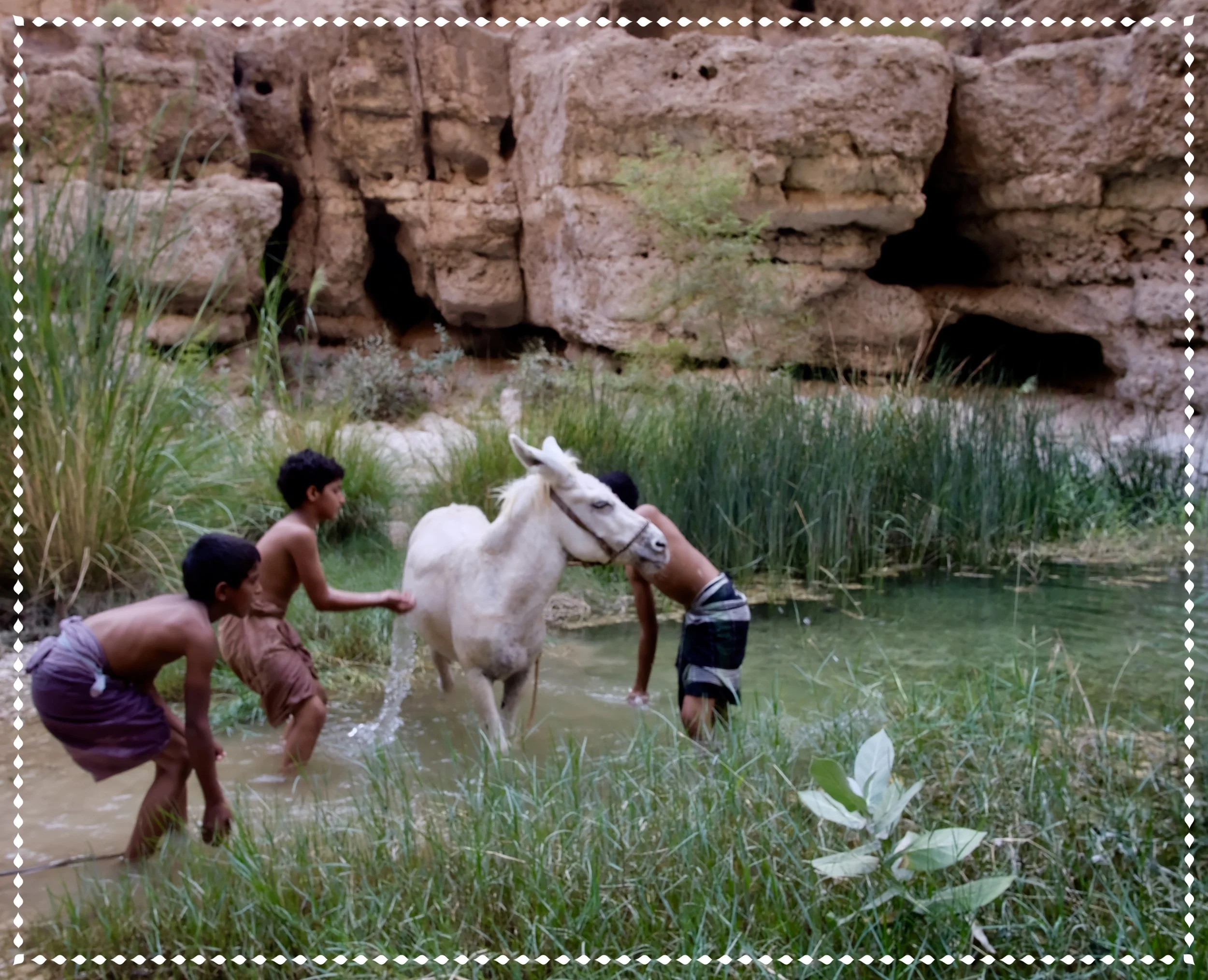 when life gives you lemons...