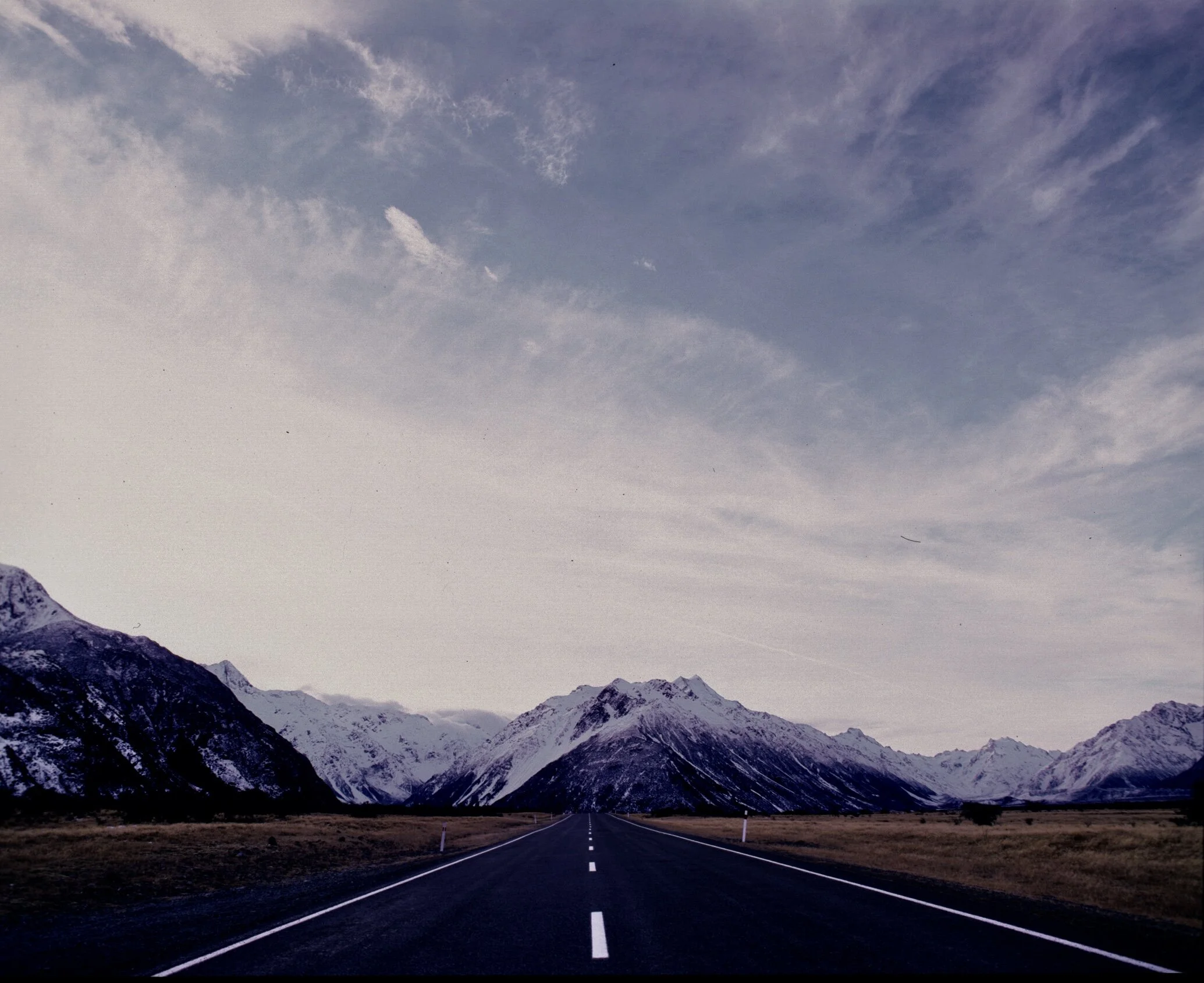 the ones that didn't make it