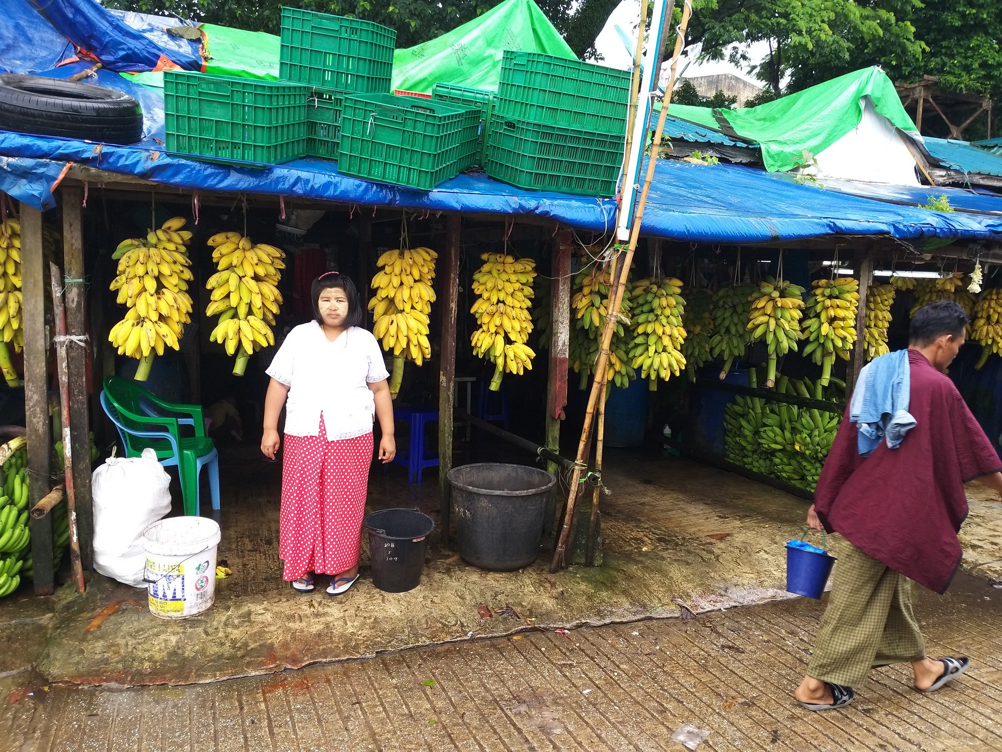 Get your bananas here!