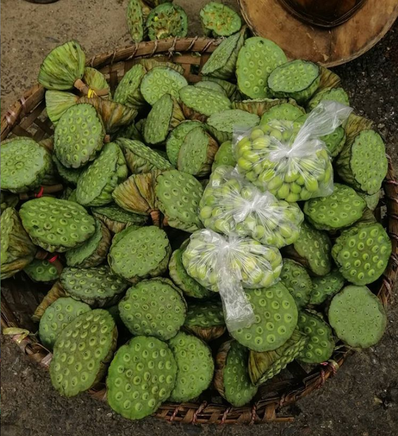 Lotus Seeds now in Season in Yangon