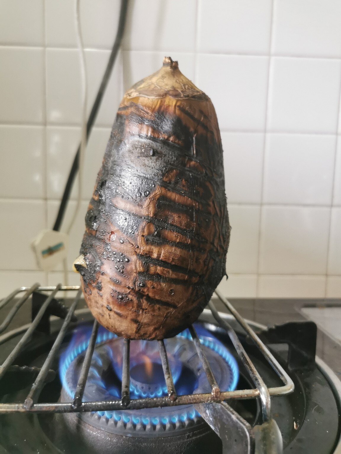 Eggplant Roasting.jpg