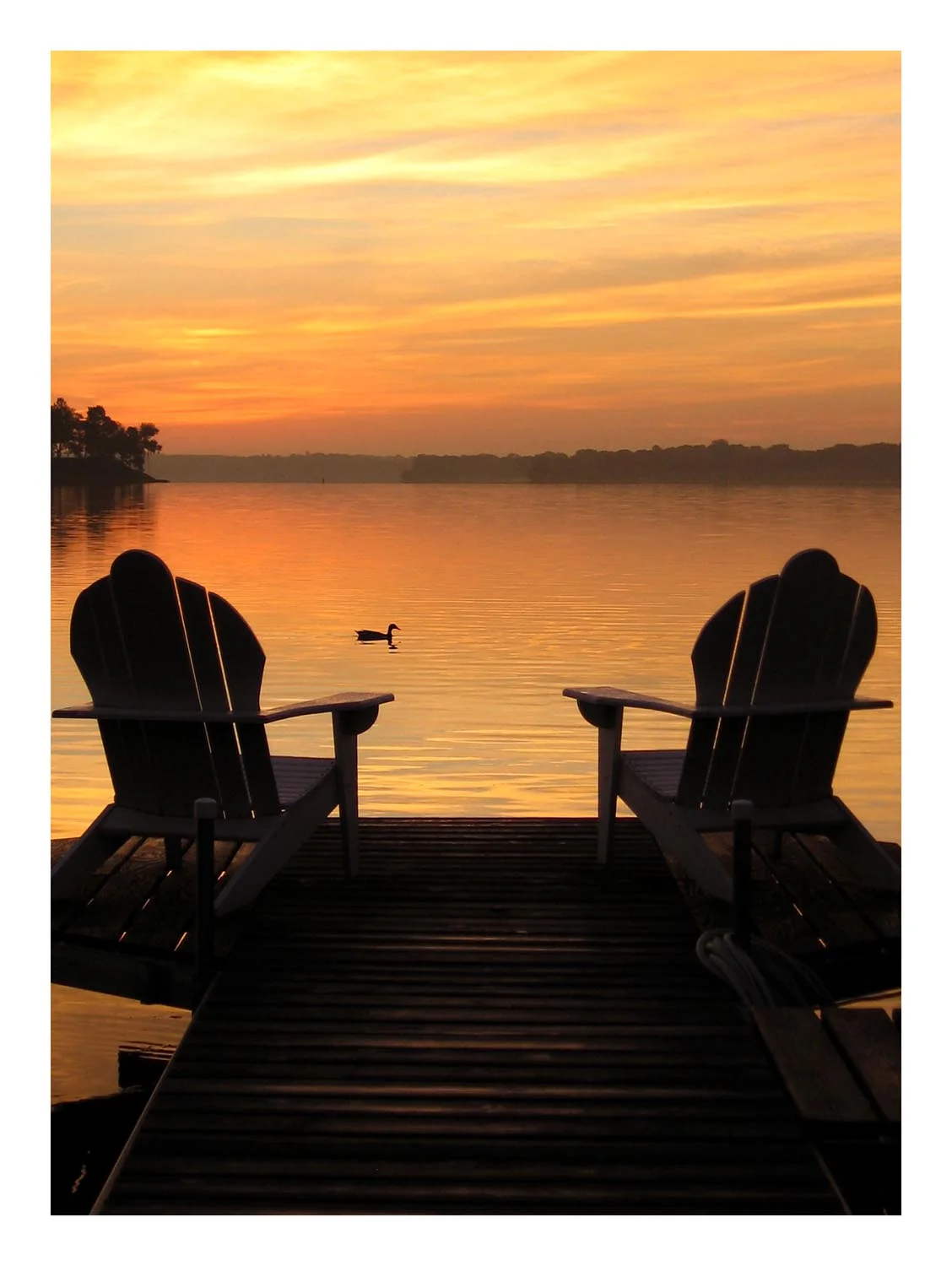 chairs on dock with loon.jpg