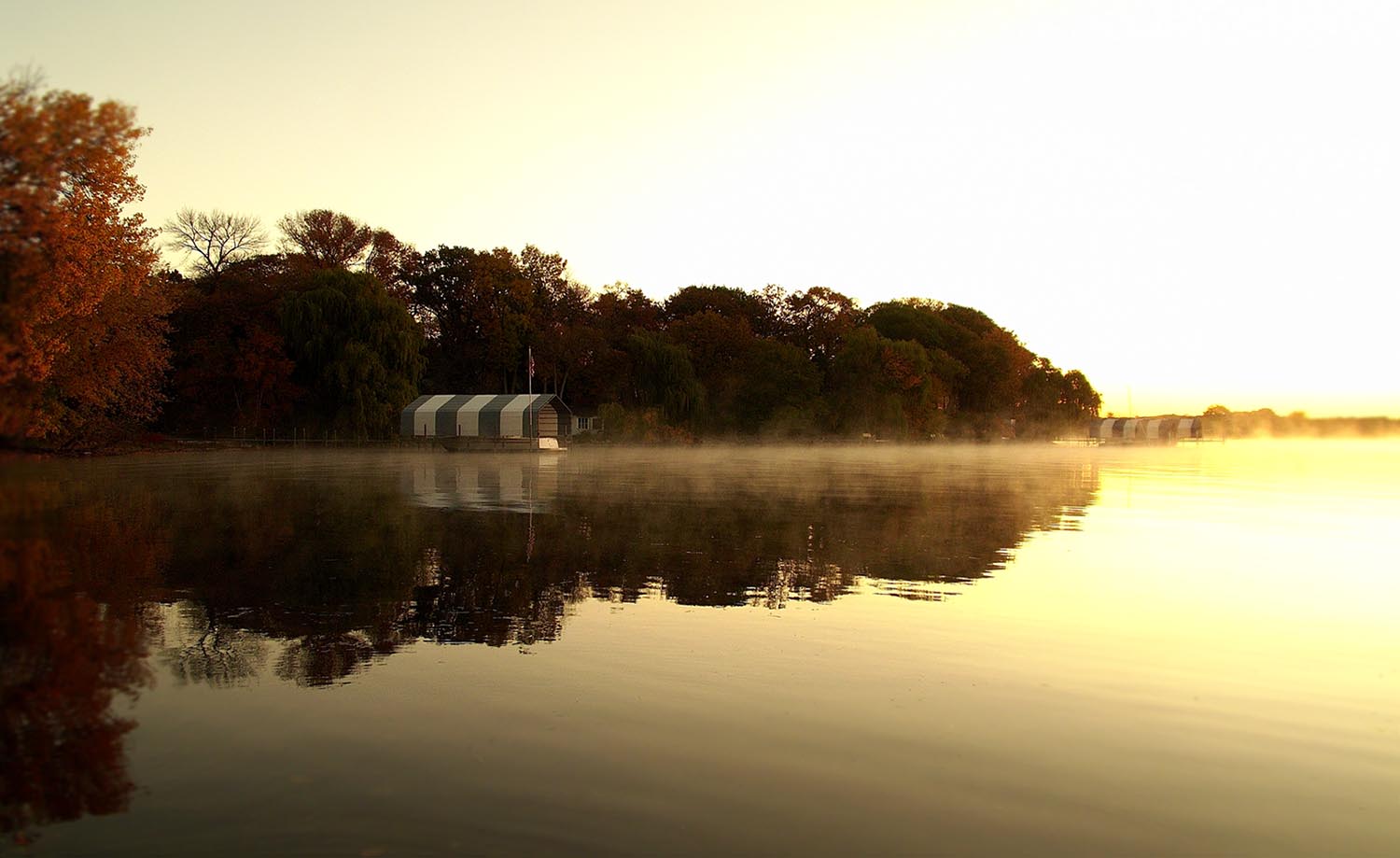 Morning Fog .jpg
