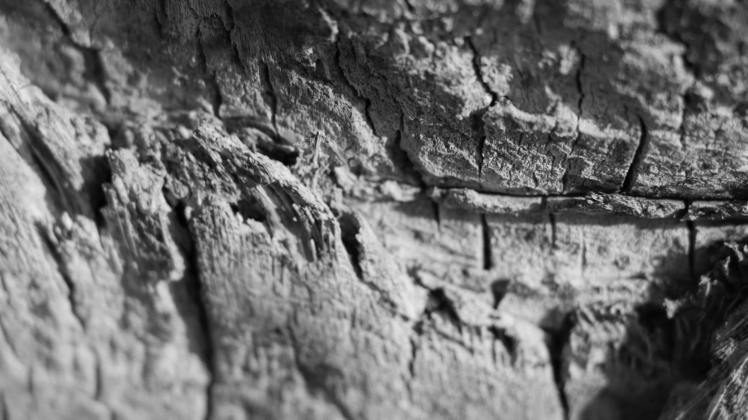 Submerged Spectres - 4.jpg