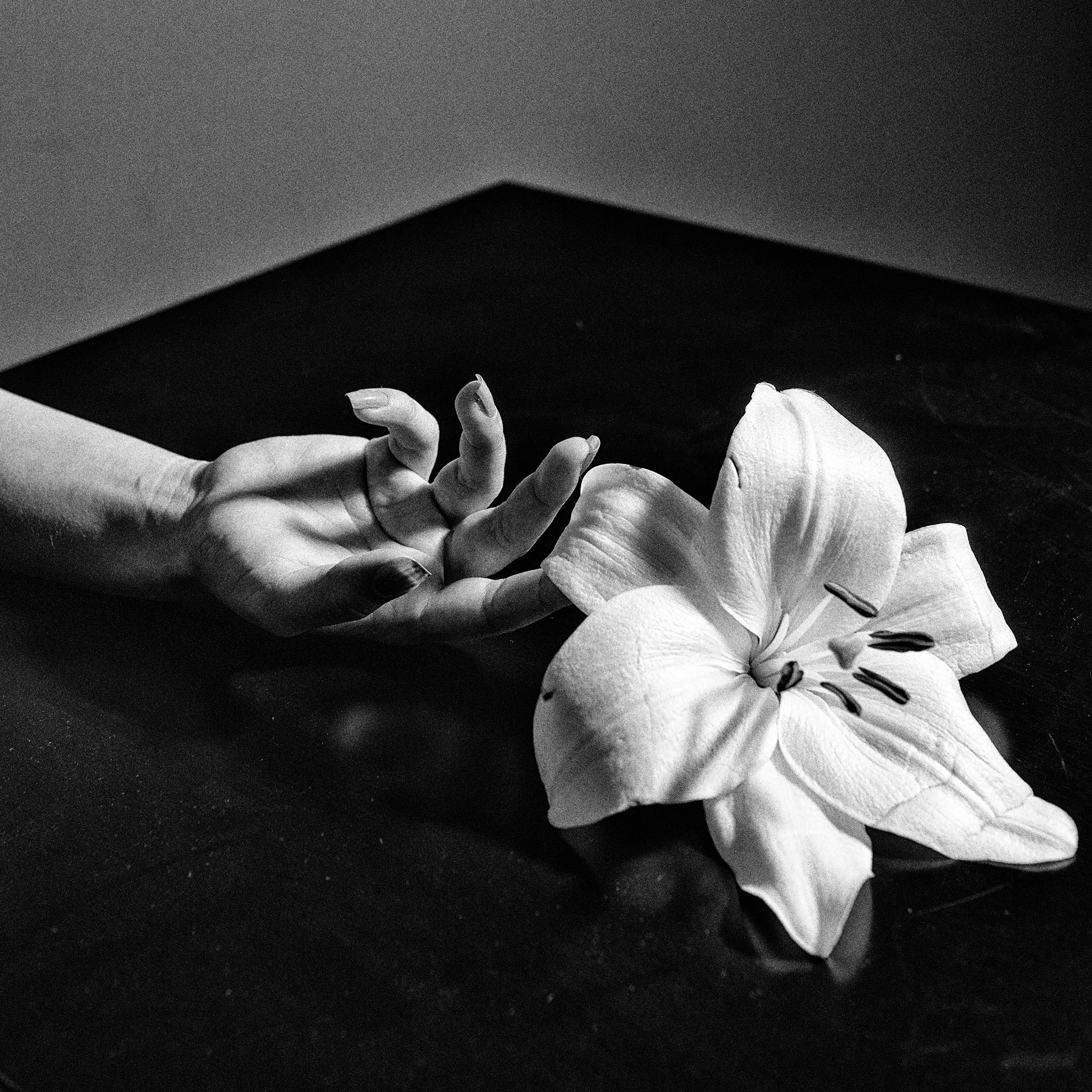 Aurora BW-7650 copy.jpg