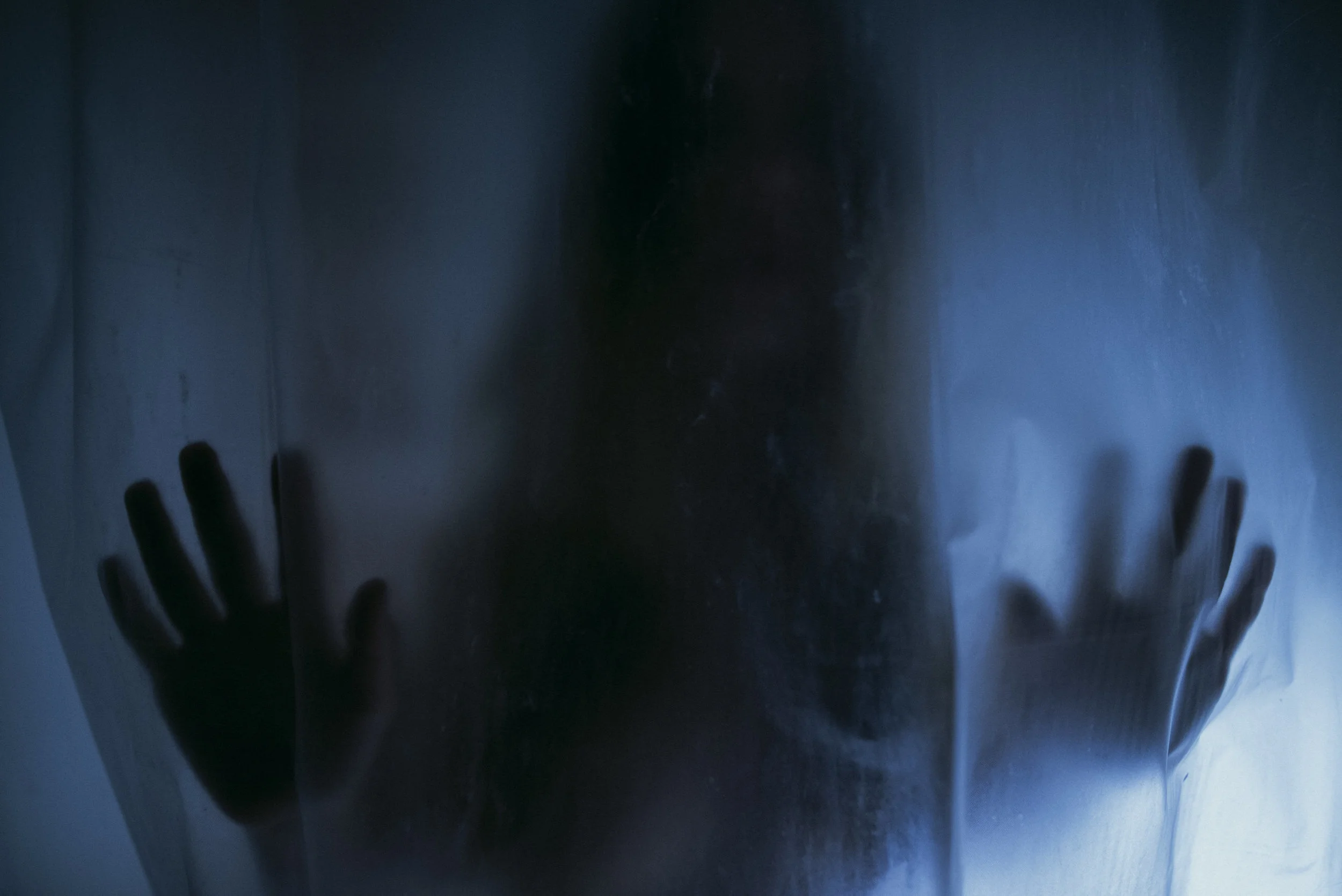 Laura Fly -183017-1.jpg