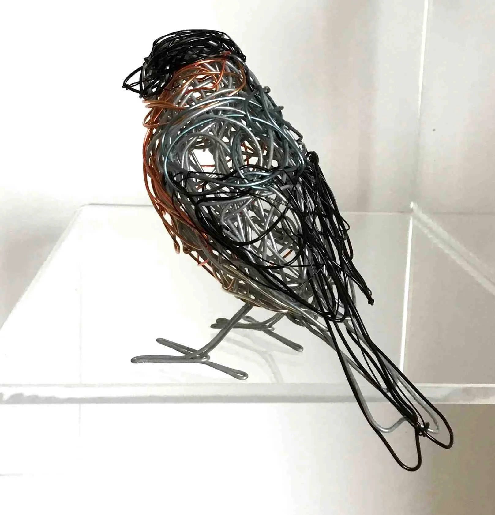 Bullfinch