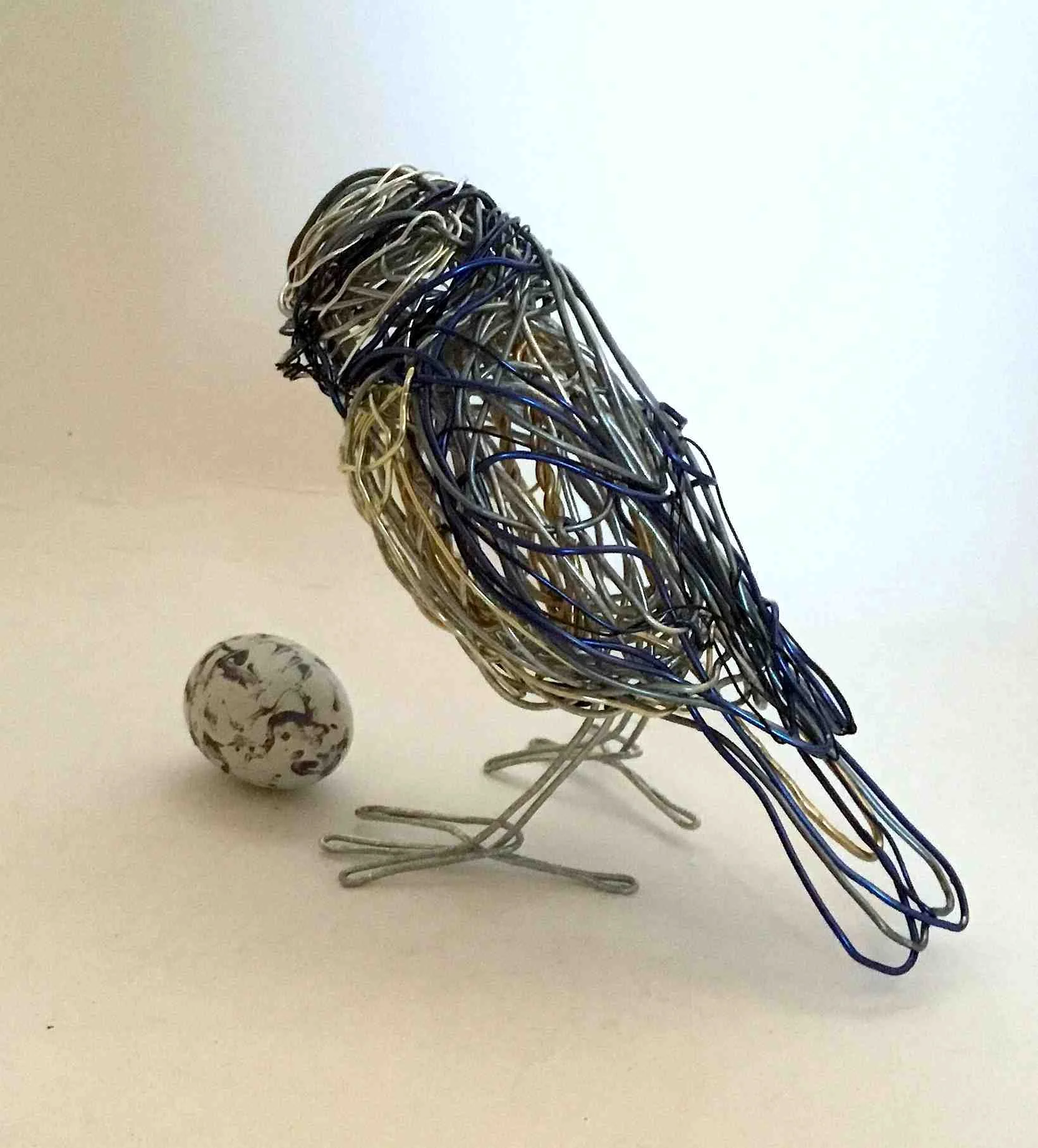Blue Tit