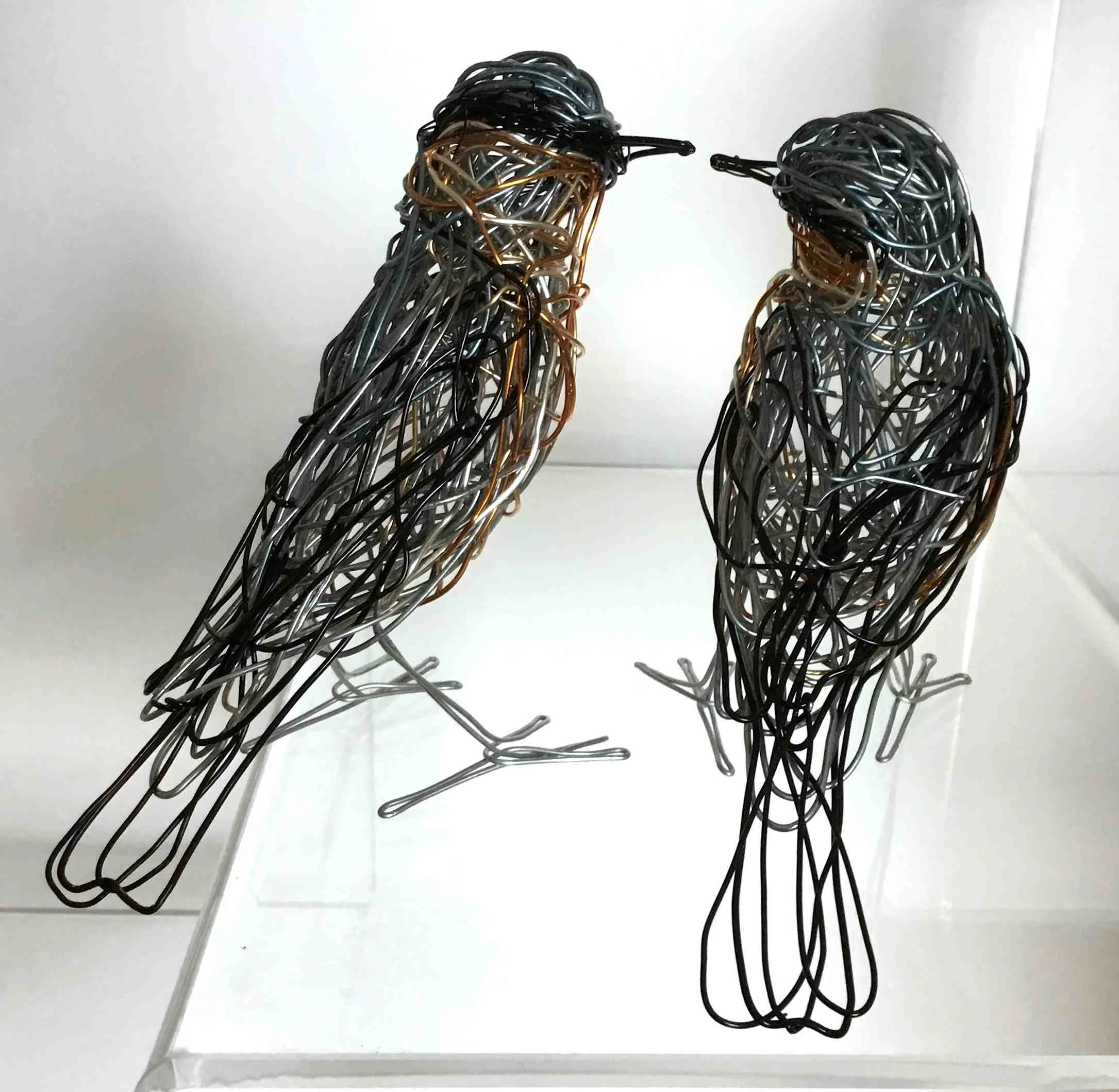 Wheatears