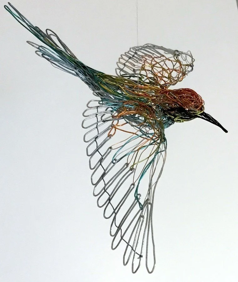 Bee eater