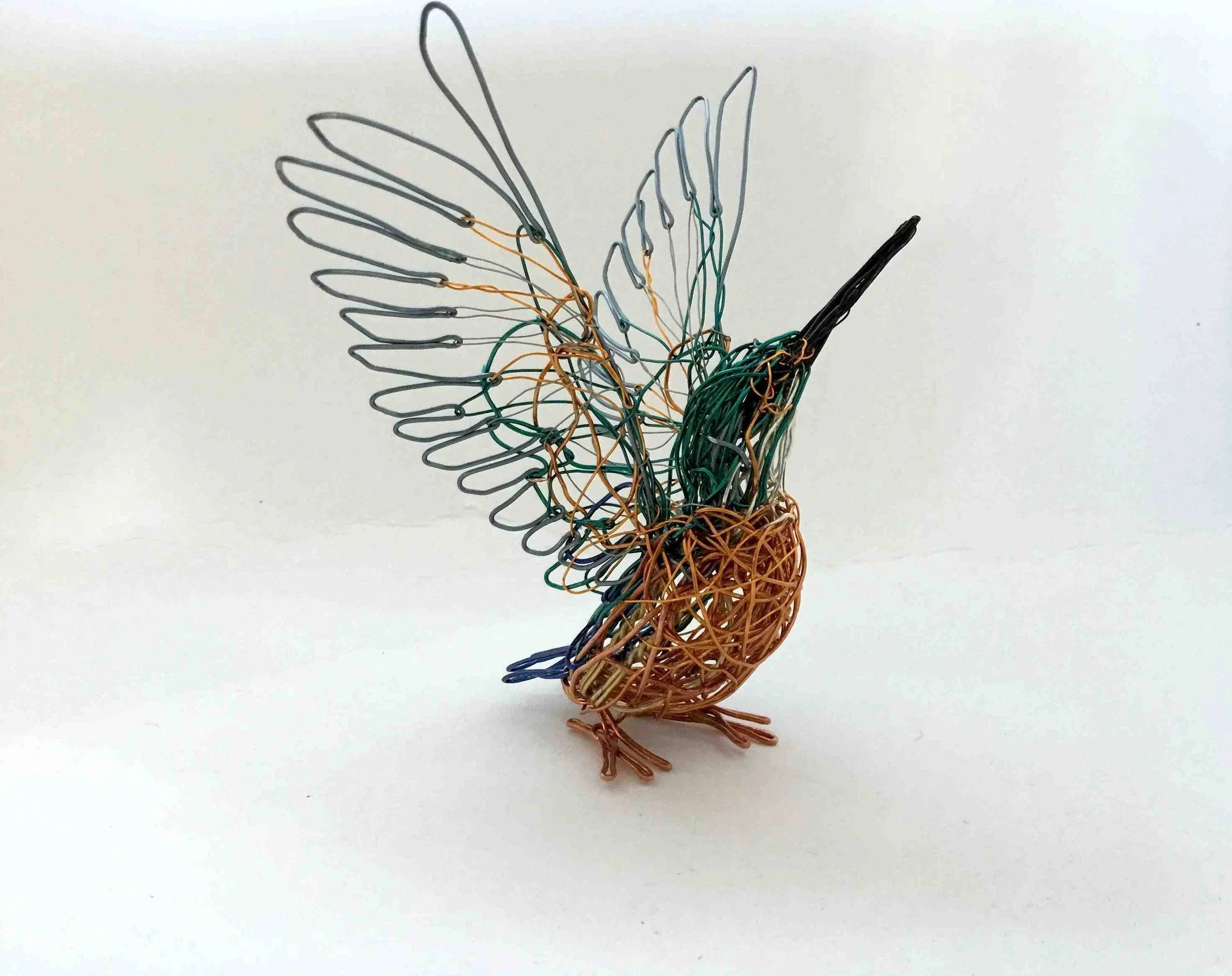 Kingfisher