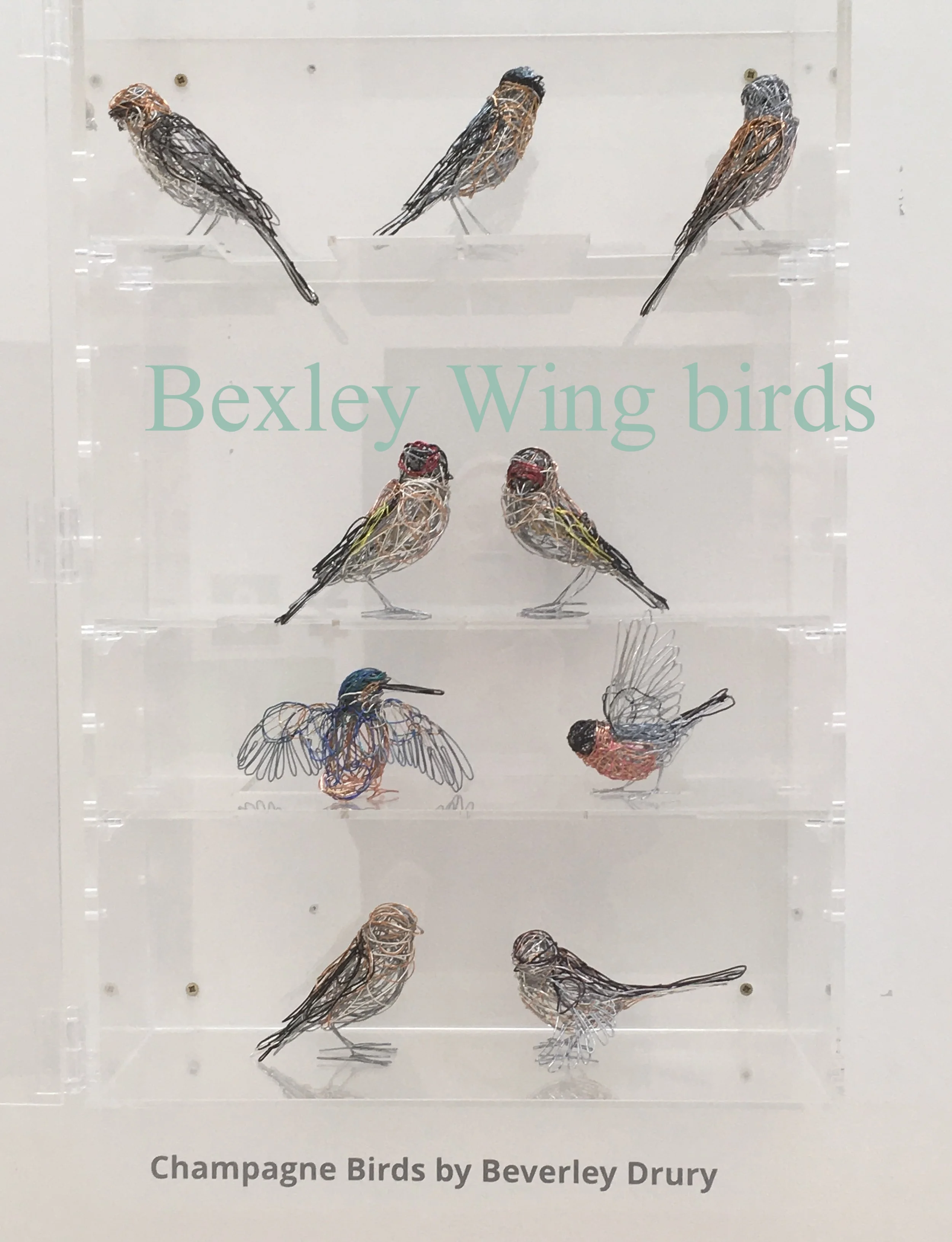 Bexley Wing, St.James' Hospital