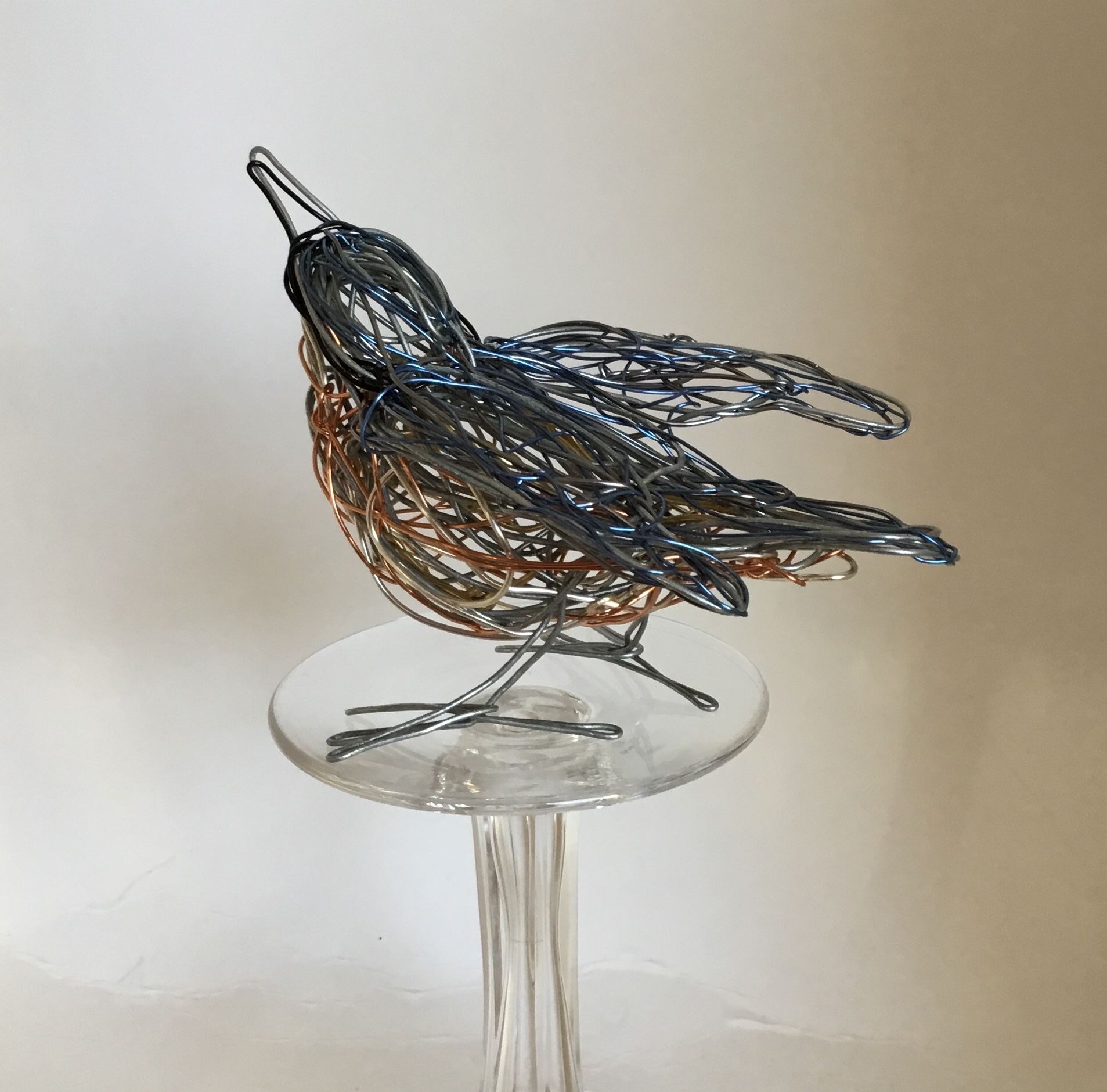Nuthatch